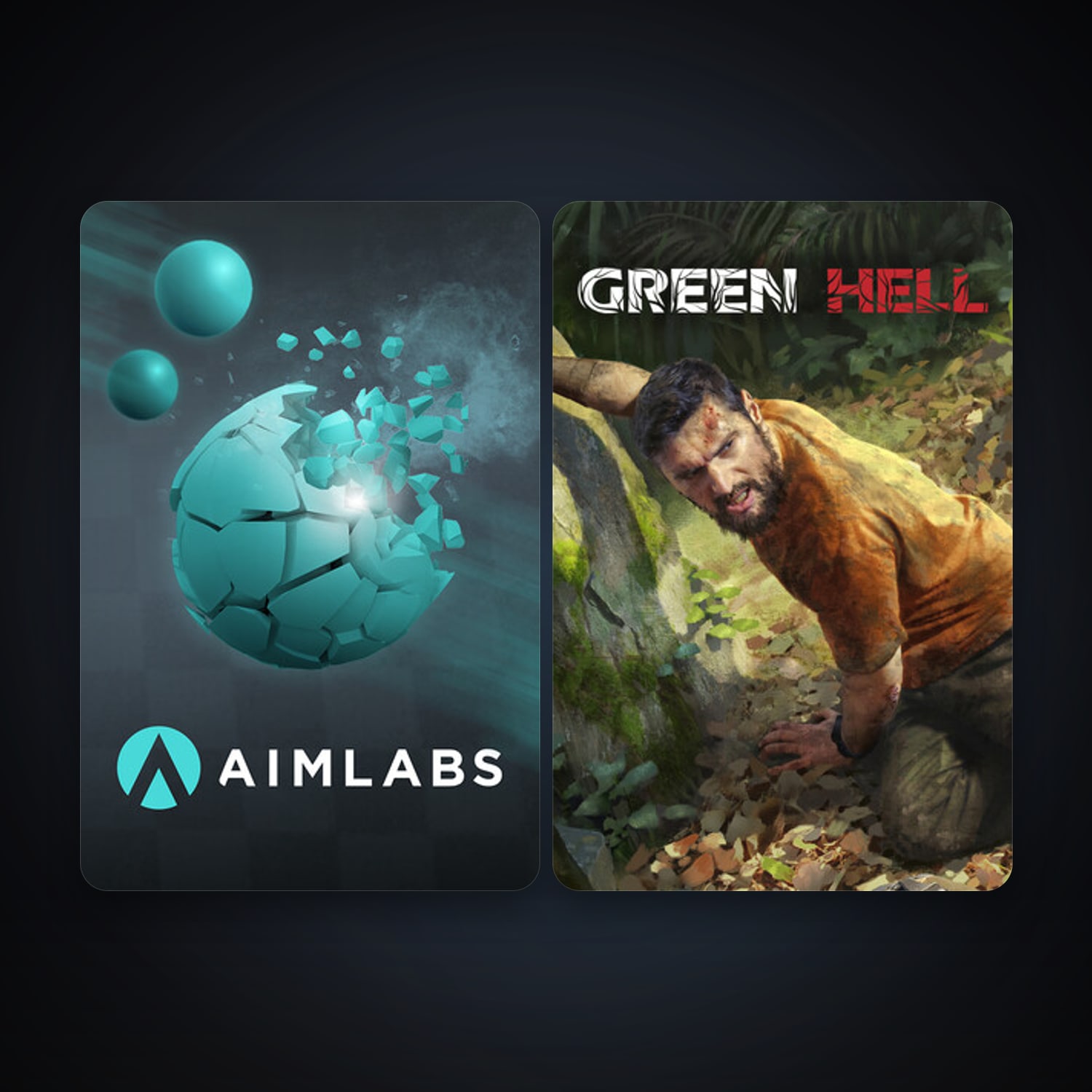 Aimlabs + Green Hell, 3 games, clean — HabibiAccounts
