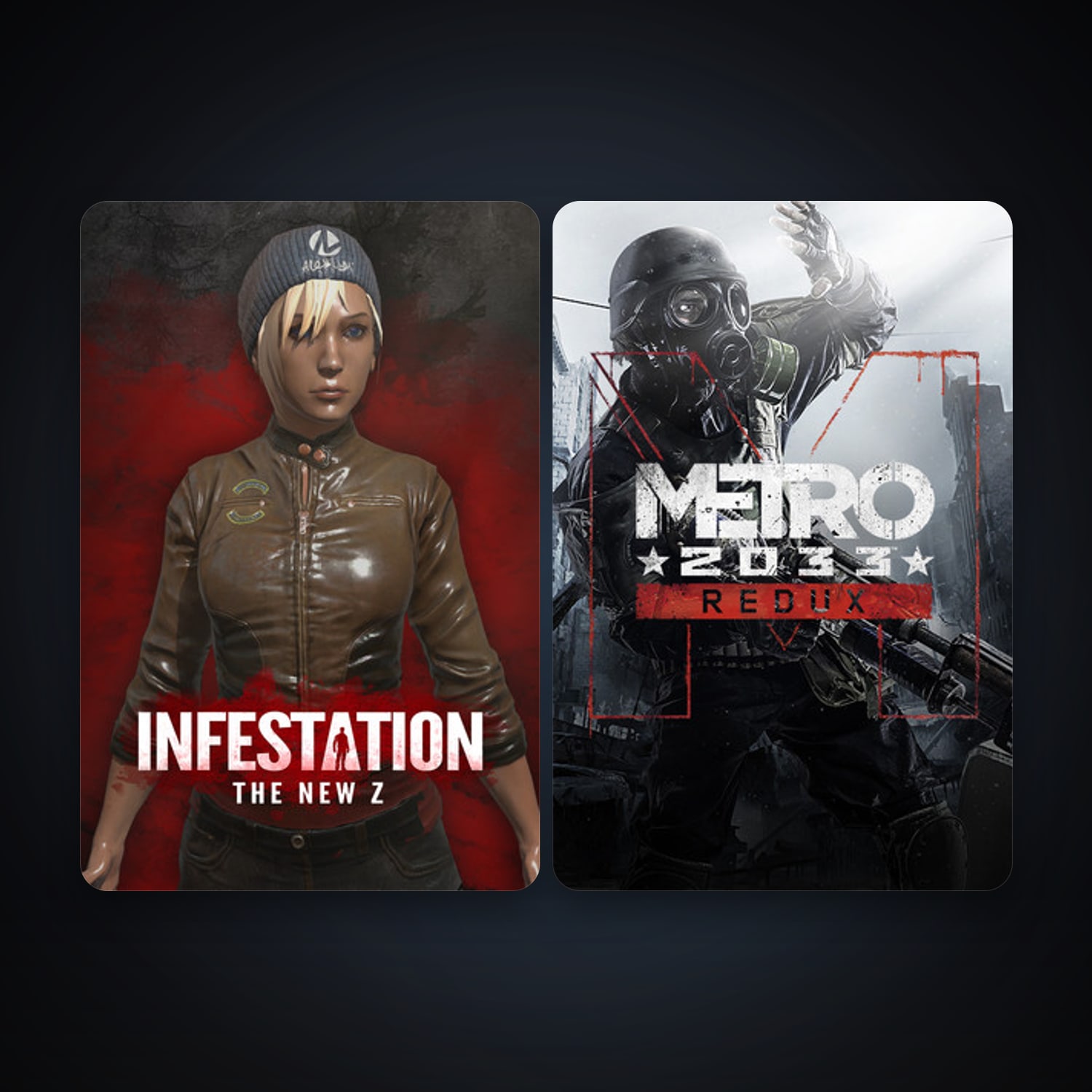 Metro 2033 Redux + Infestation: The New Z, 3 games, clean — HabibiAccounts