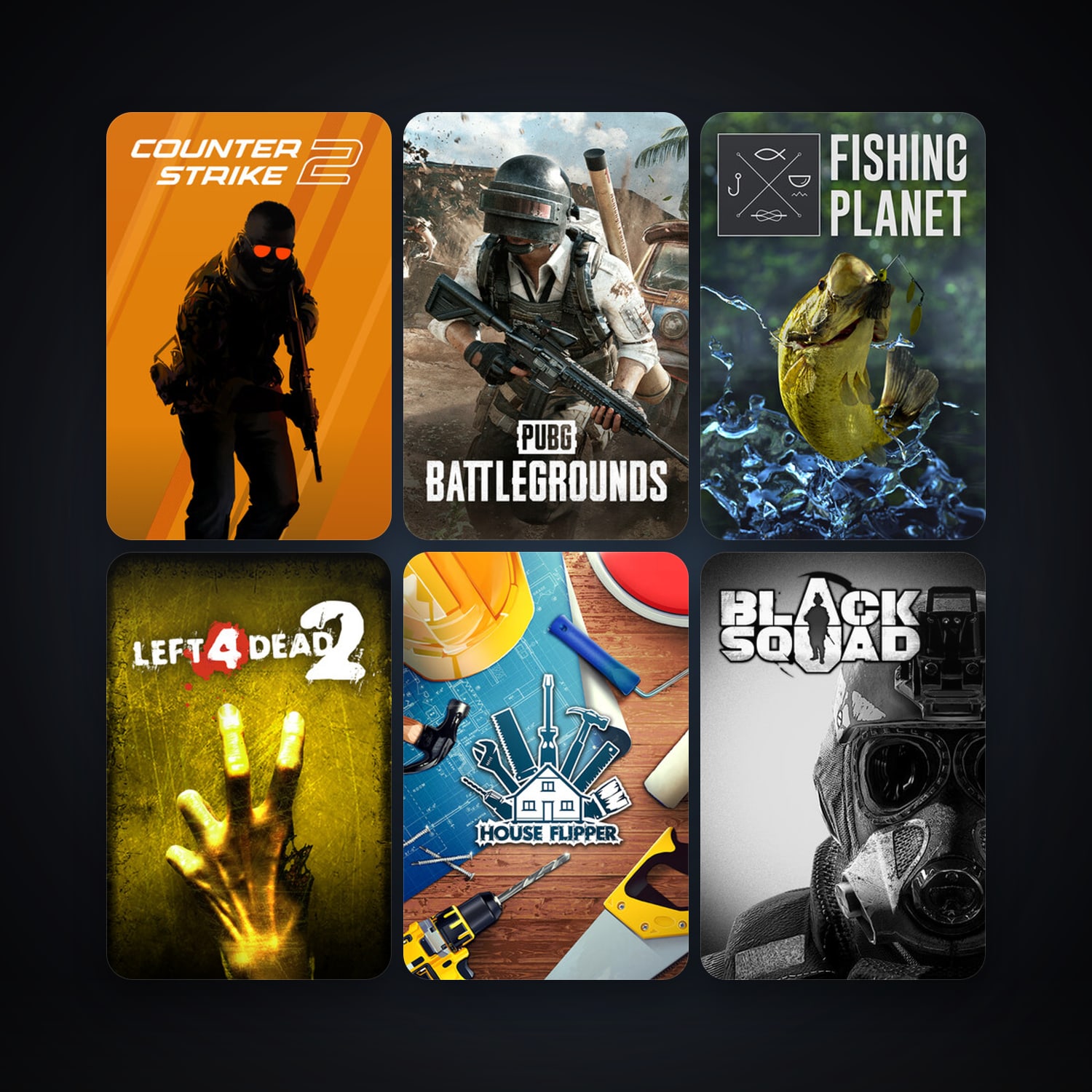 Left 4 Dead 2 + CS2 Prime, 19 games, clean — HabibiAccounts