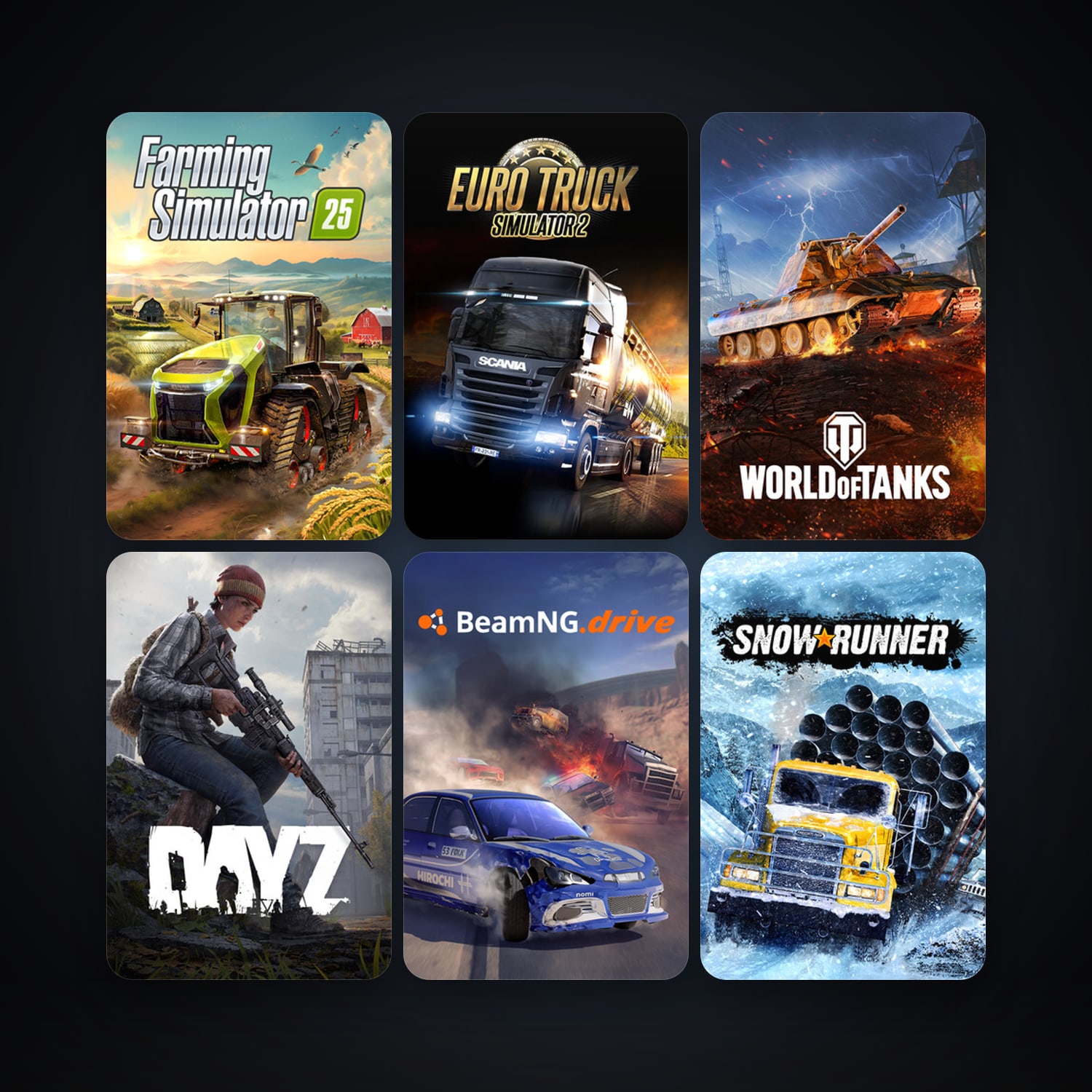 DayZ + Euro Truck Simulator 2, 30 games, clean — HabibiAccounts