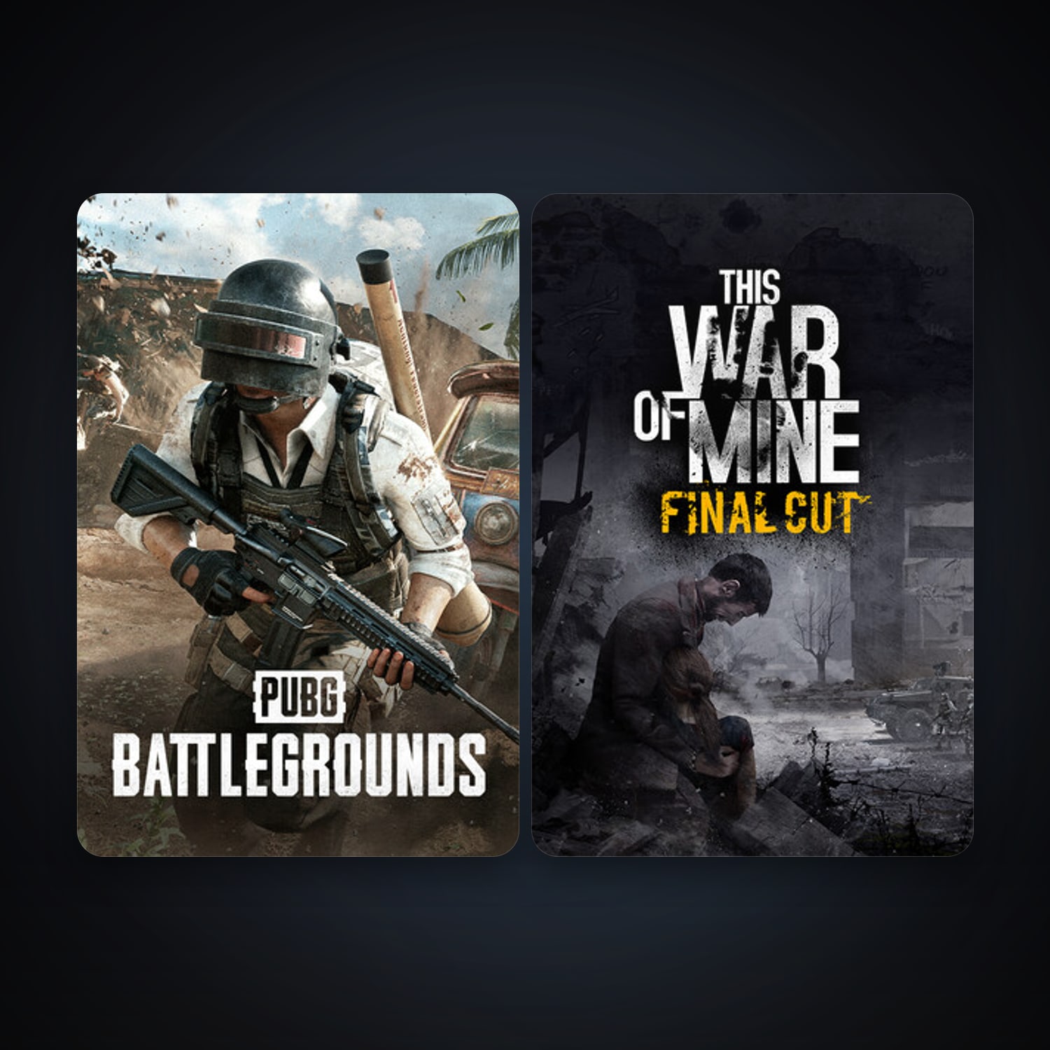 This War of Mine + PUBG: BATTLEGROUNDS, 3 games, clean — HabibiAccounts