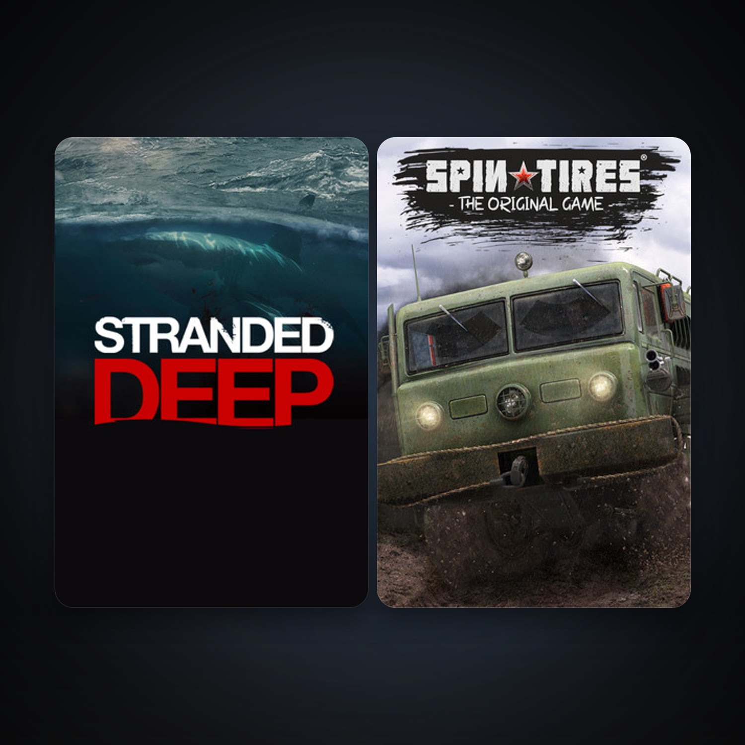 SPINTIRES + Stranded Deep, 2 games, clean — HabibiAccounts