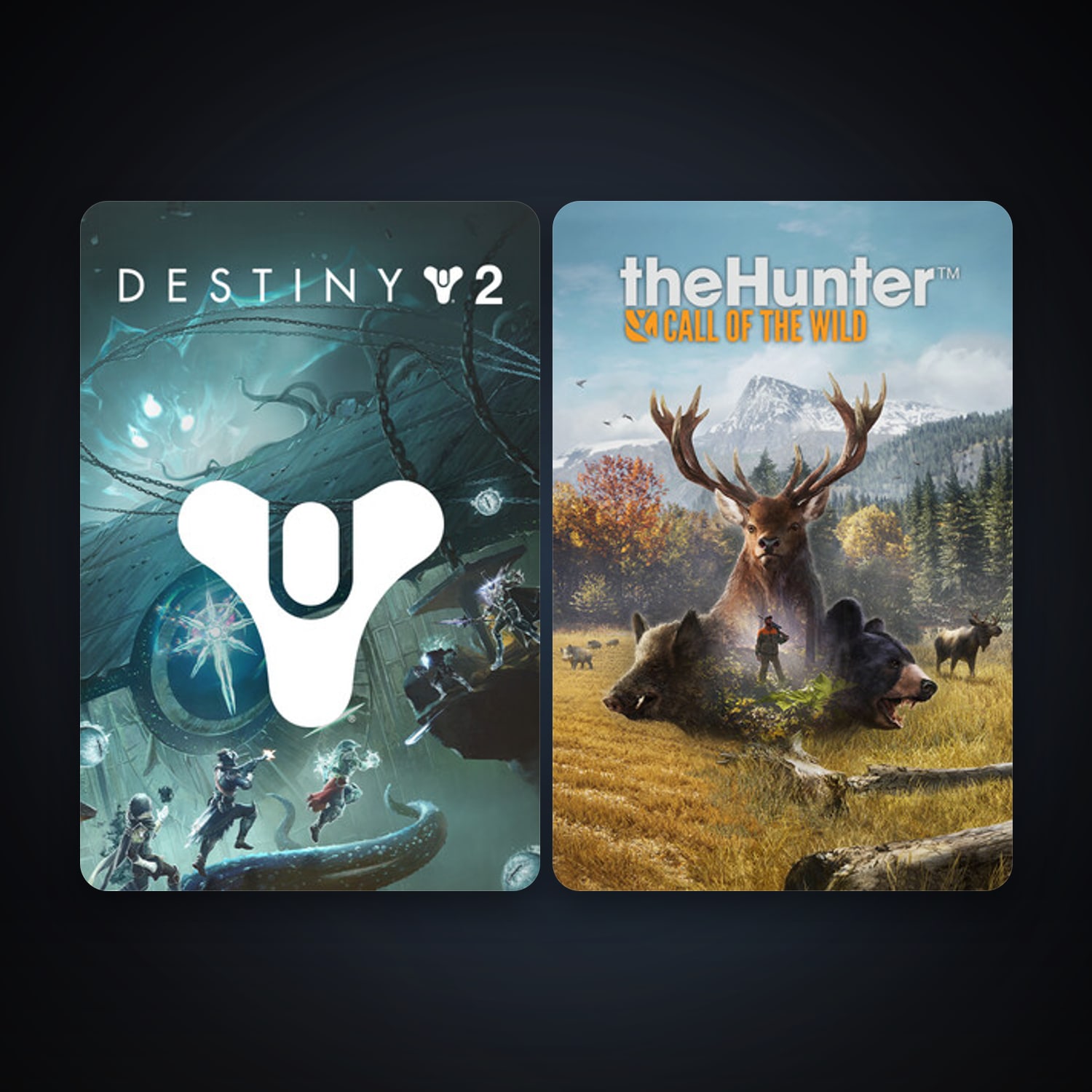 theHunter: Call of the Wild + Destiny 2, 2 games, clean — HabibiAccounts