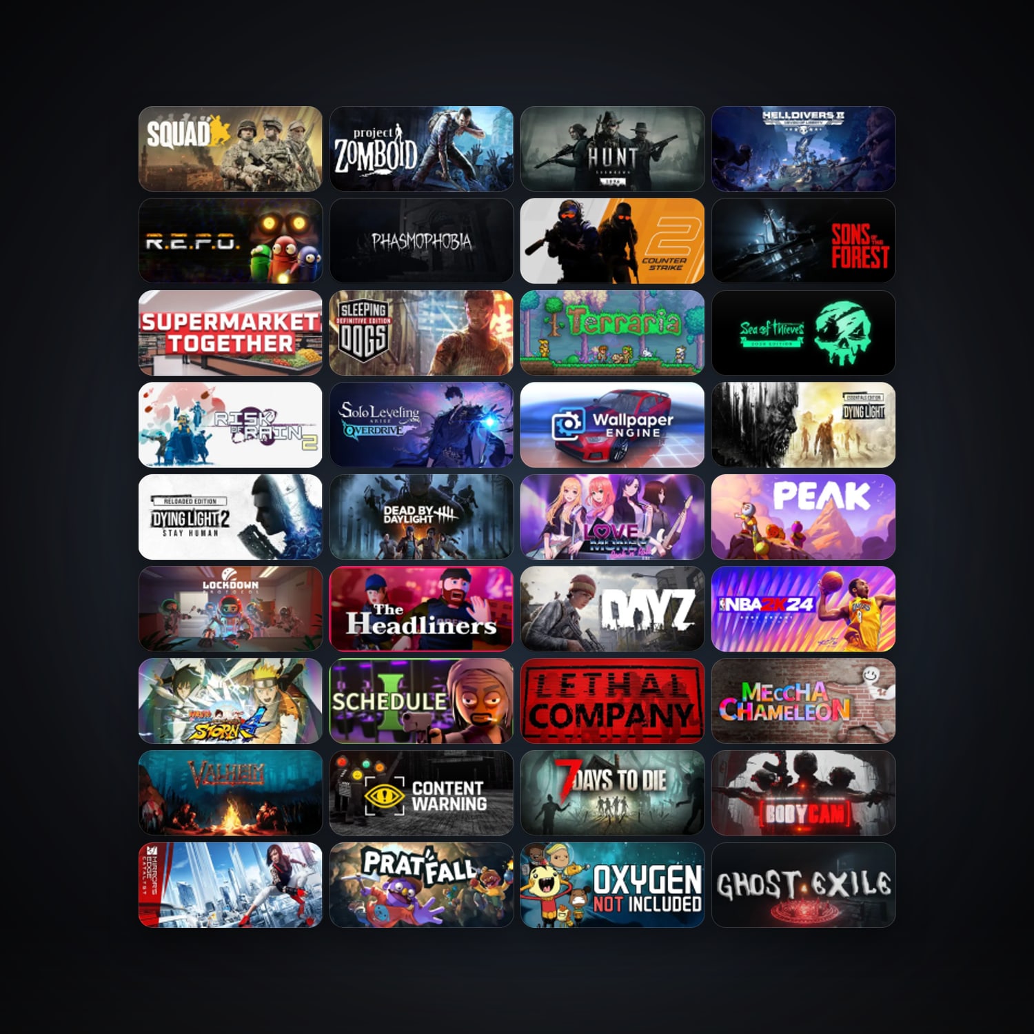 CS2 Prime + Project Zomboid, 140 games, clean — HabibiAccounts