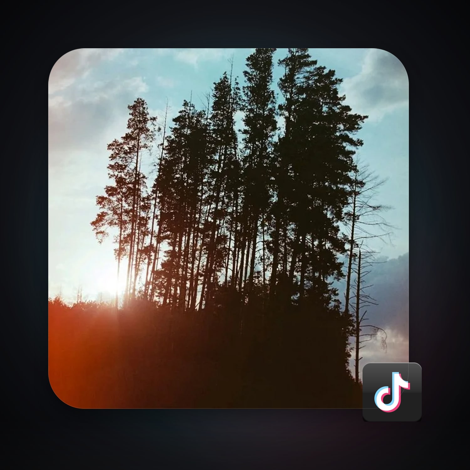 TikTok 49 followers — HabibiAccounts