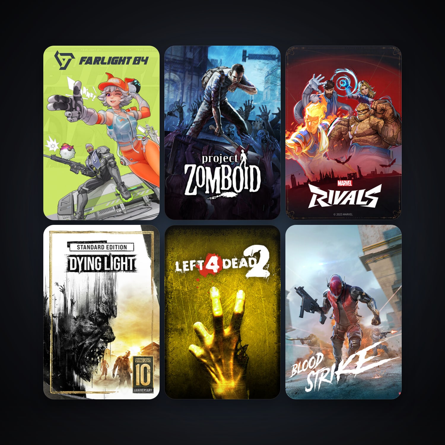 Left 4 Dead 2 + Project Zomboid, 12 games, clean — HabibiAccounts