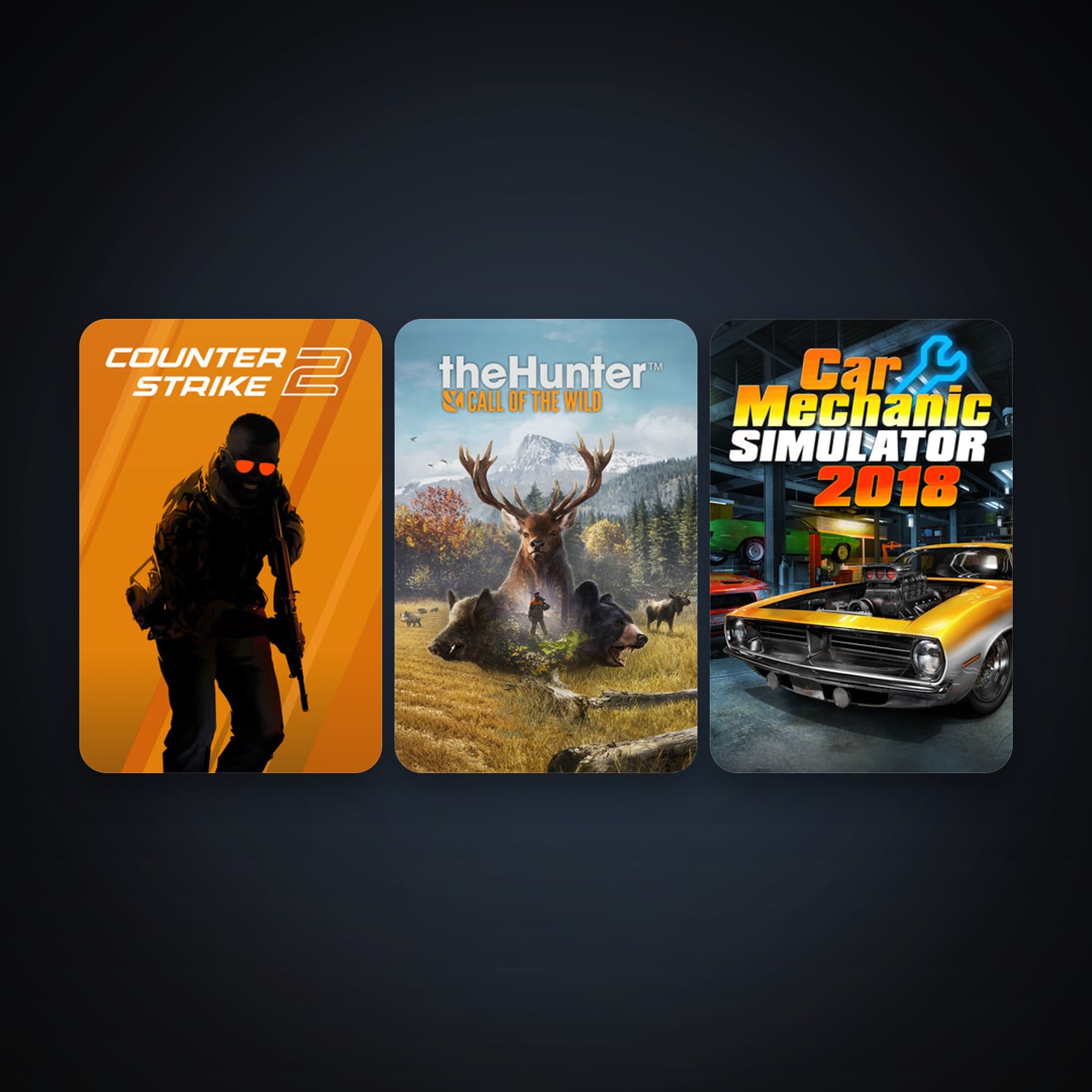 CS2 Prime + theHunter: Call of the Wild, 6 games, Steam 11, clean — HabibiAccounts