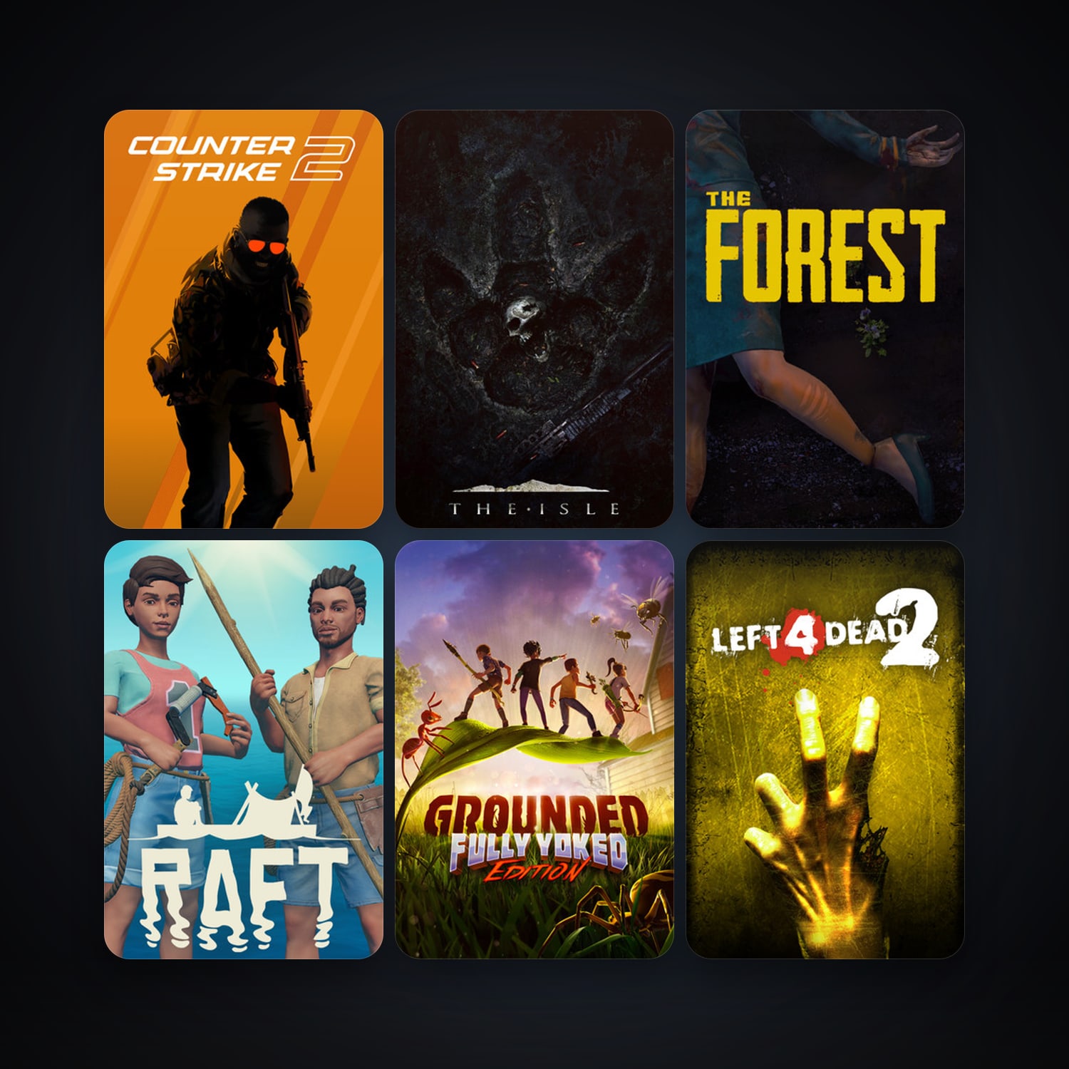 Left 4 Dead 2 + CS2 Prime, 81 games, clean — HabibiAccounts