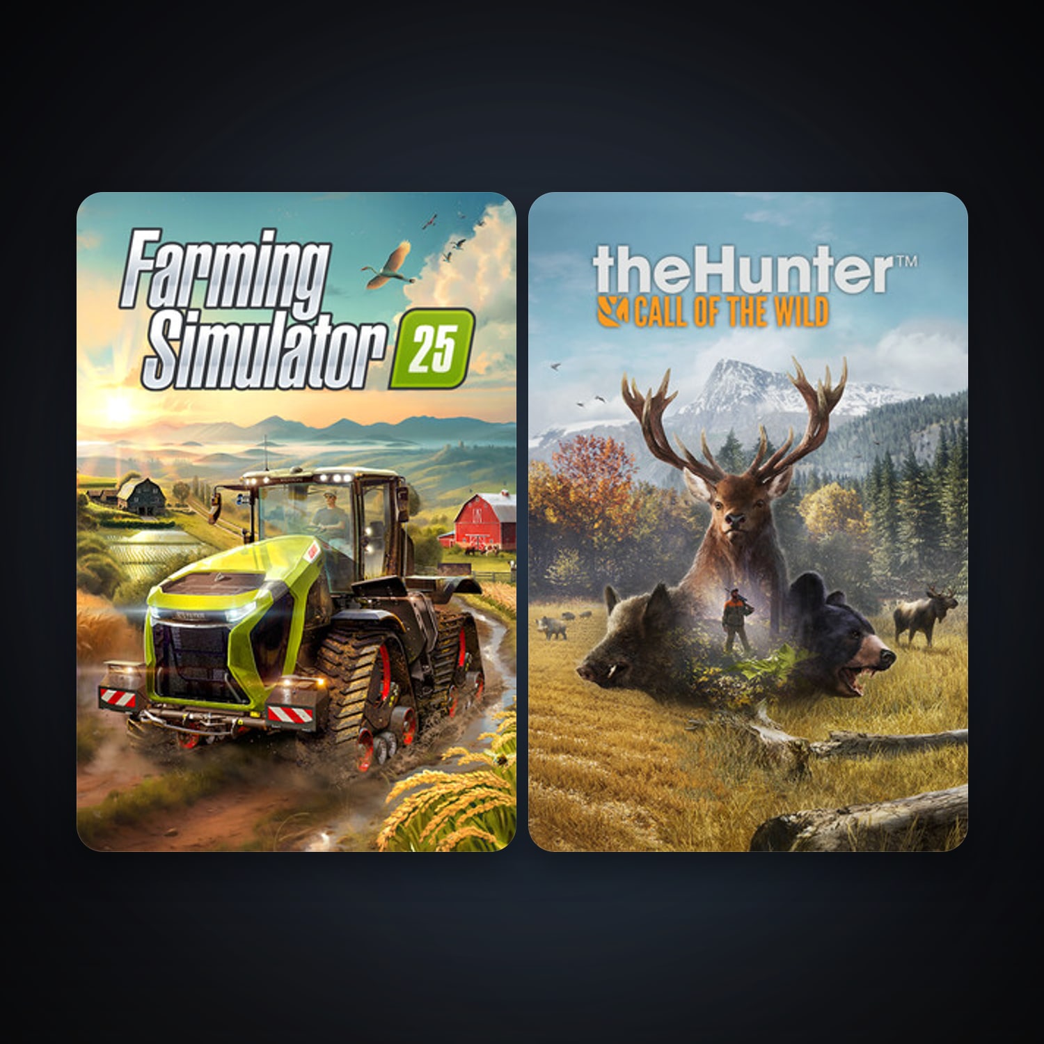 theHunter: Call of the Wild + Farming Simulator 25, 3 games, clean — HabibiAccounts
