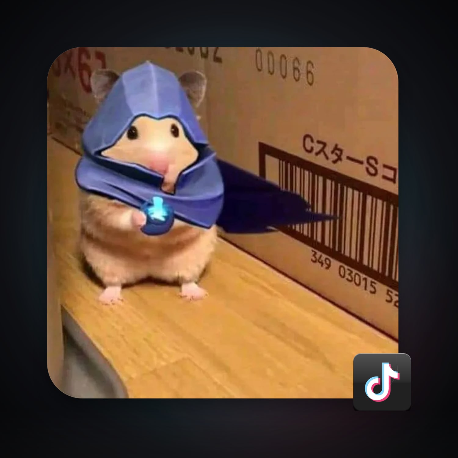 TikTok 11 followers — HabibiAccounts