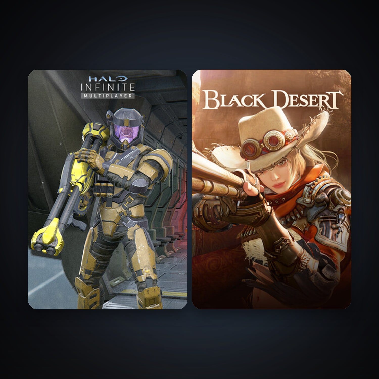 حساب ستيم فلين، Black Desert Online وHalo Infinite، 2 لعبة، صامد واضح — HabibiAccounts