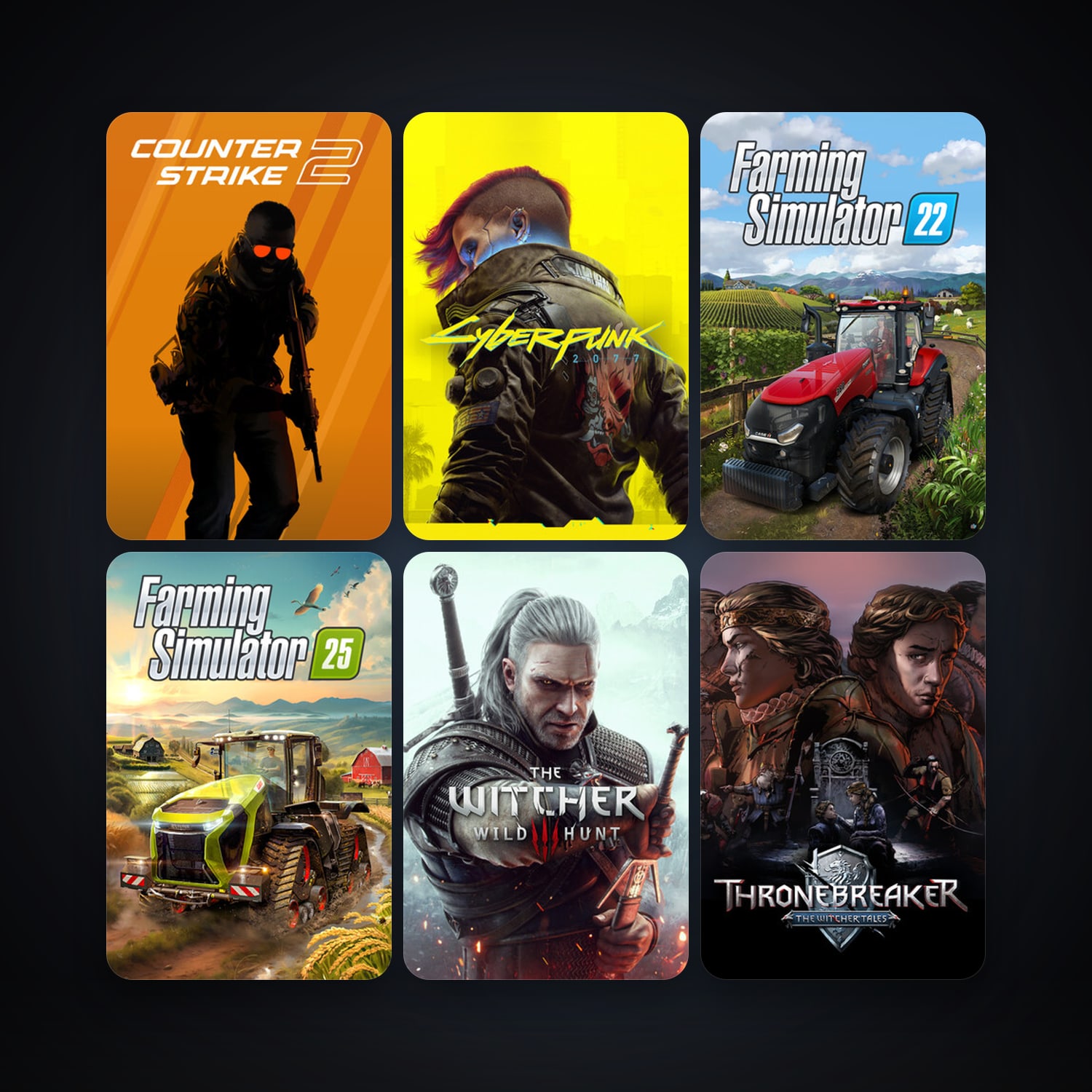 CS2 Prime + The Witcher: Enhanced Edition Director's Cut, 12 games, clean — HabibiAccounts