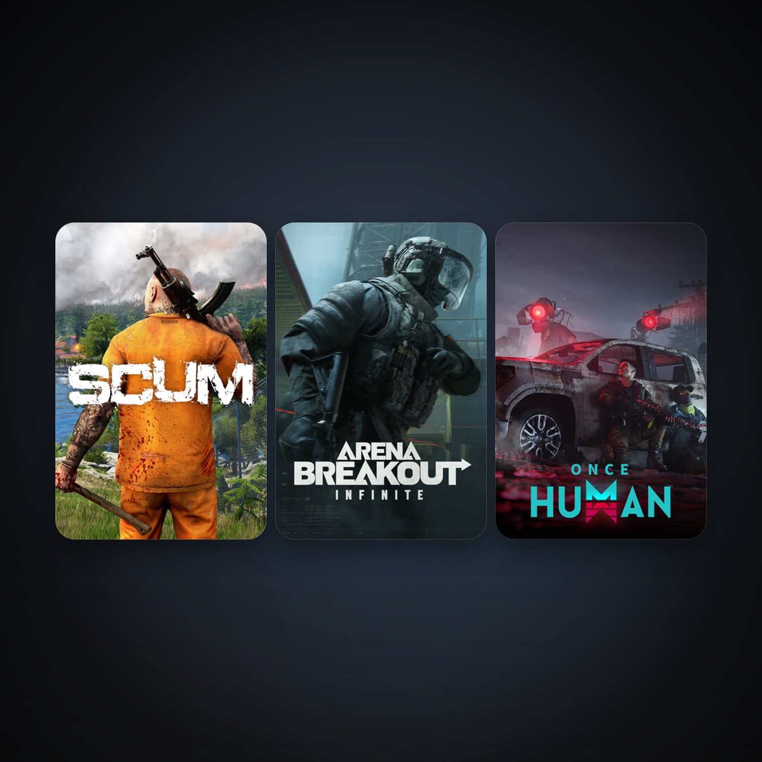 SCUM + Arena Breakout: Infinite, 6 games, clean — HabibiAccounts