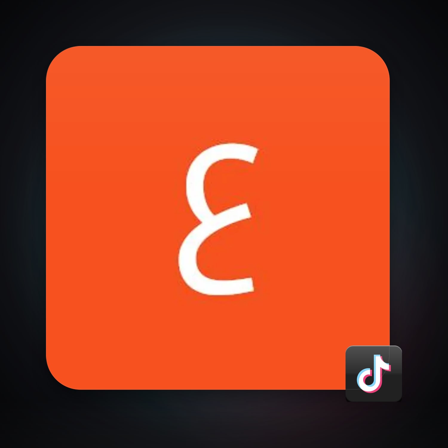 TikTok — HabibiAccounts