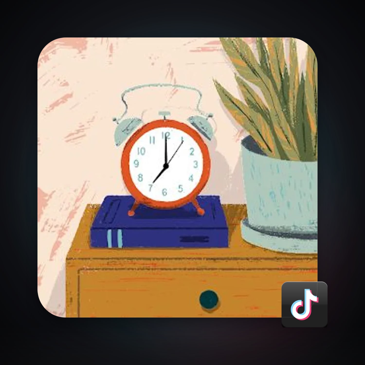 TikTok — HabibiAccounts