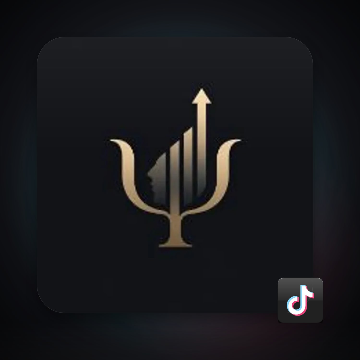 TikTok — HabibiAccounts