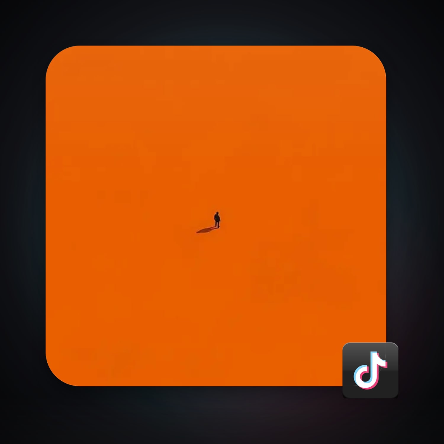 TikTok — HabibiAccounts