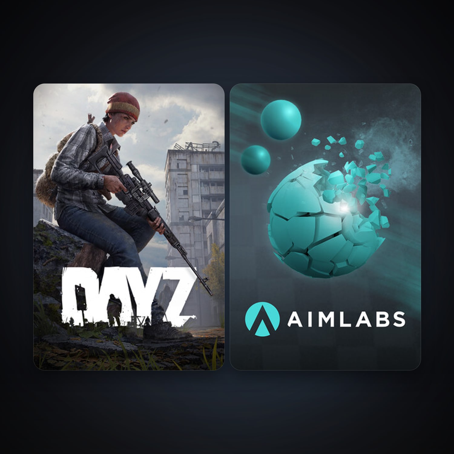 DayZ + Aimlabs, 7 games, clean — HabibiAccounts