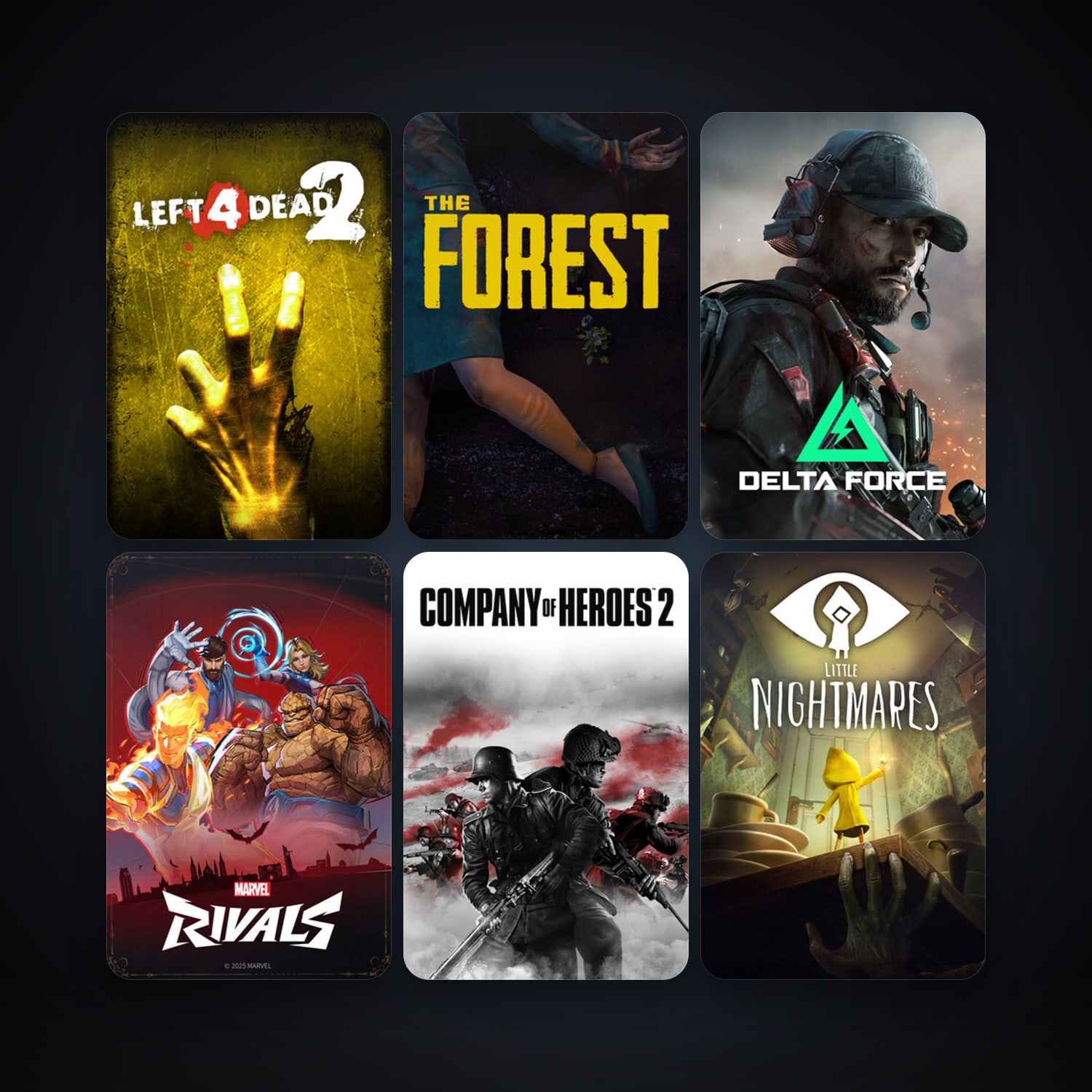 Left 4 Dead 2 + Company of Heroes 2, 12 games, clean — HabibiAccounts
