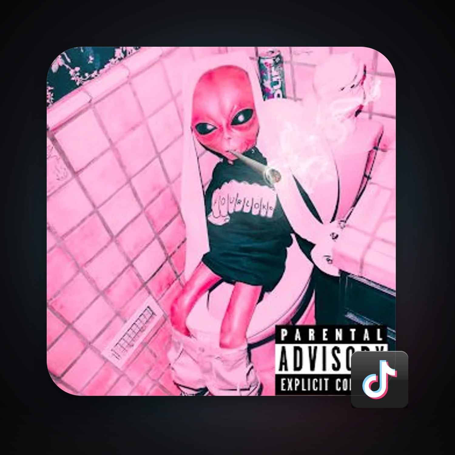 TikTok — HabibiAccounts