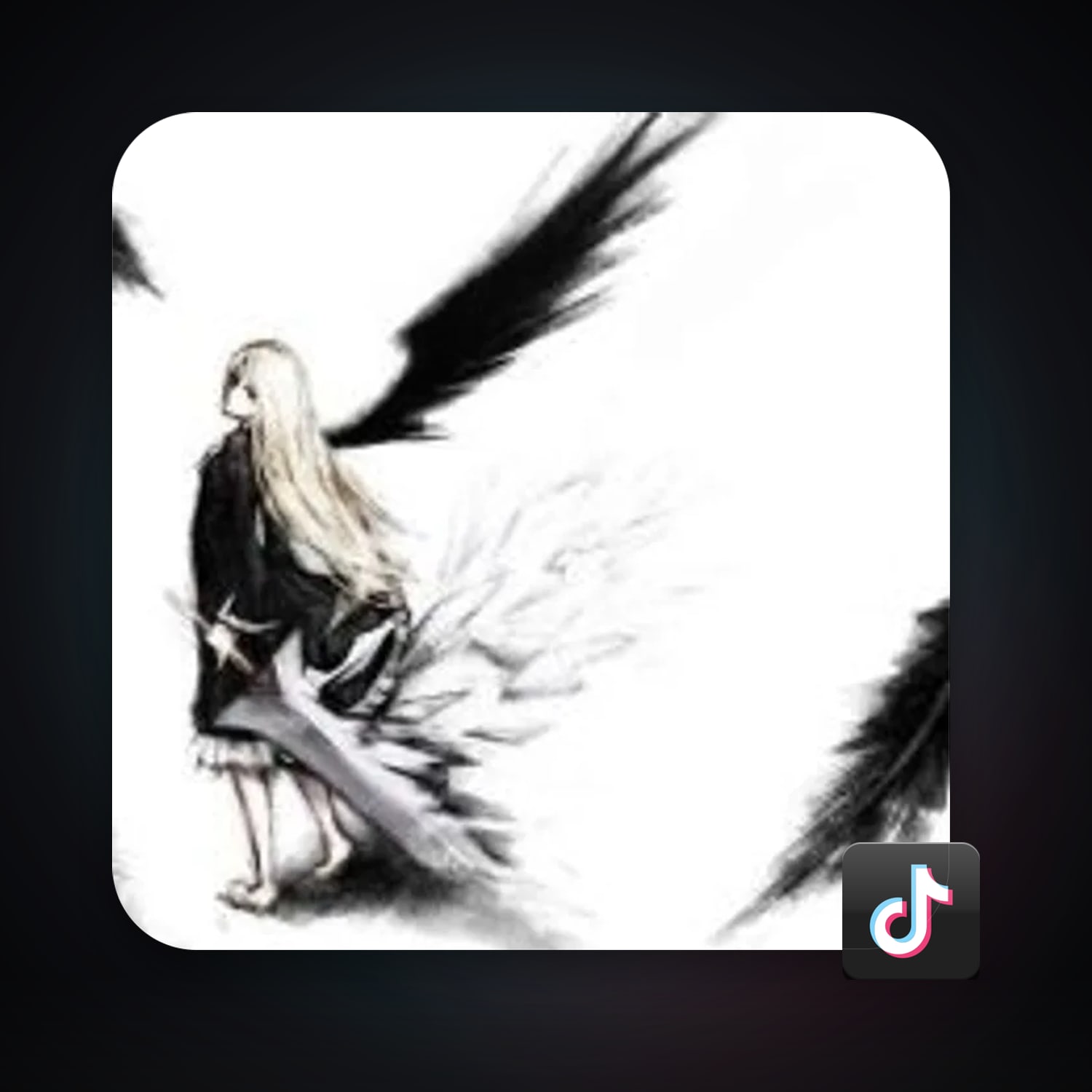 TikTok 81 followers — HabibiAccounts