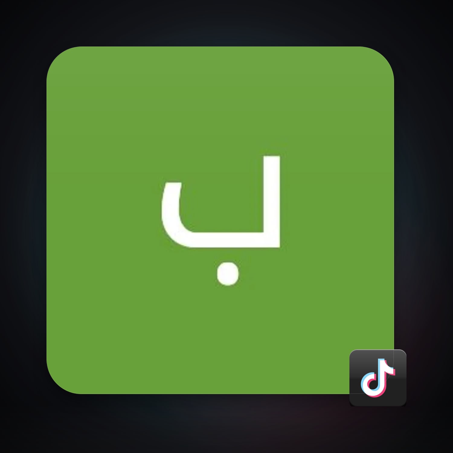 TikTok — HabibiAccounts