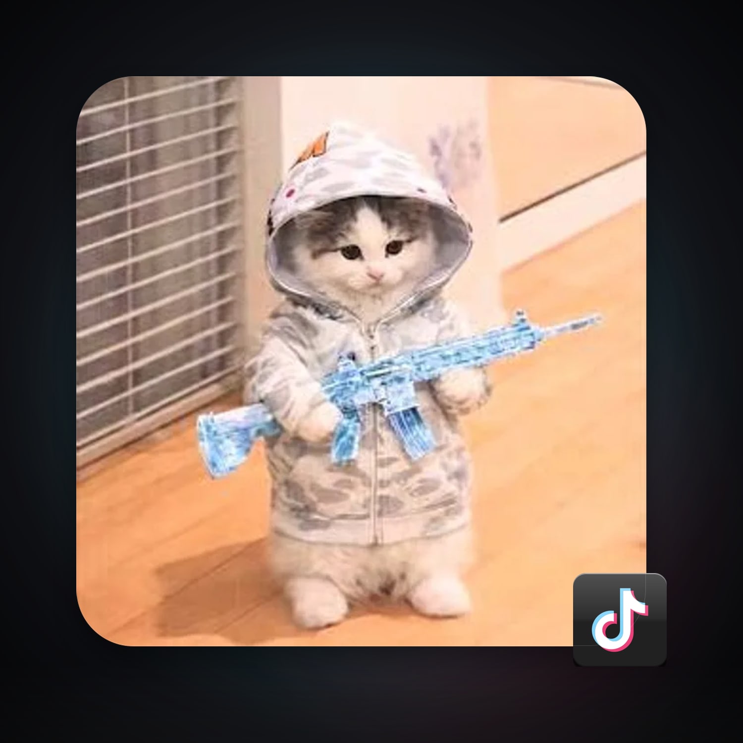 TikTok — HabibiAccounts