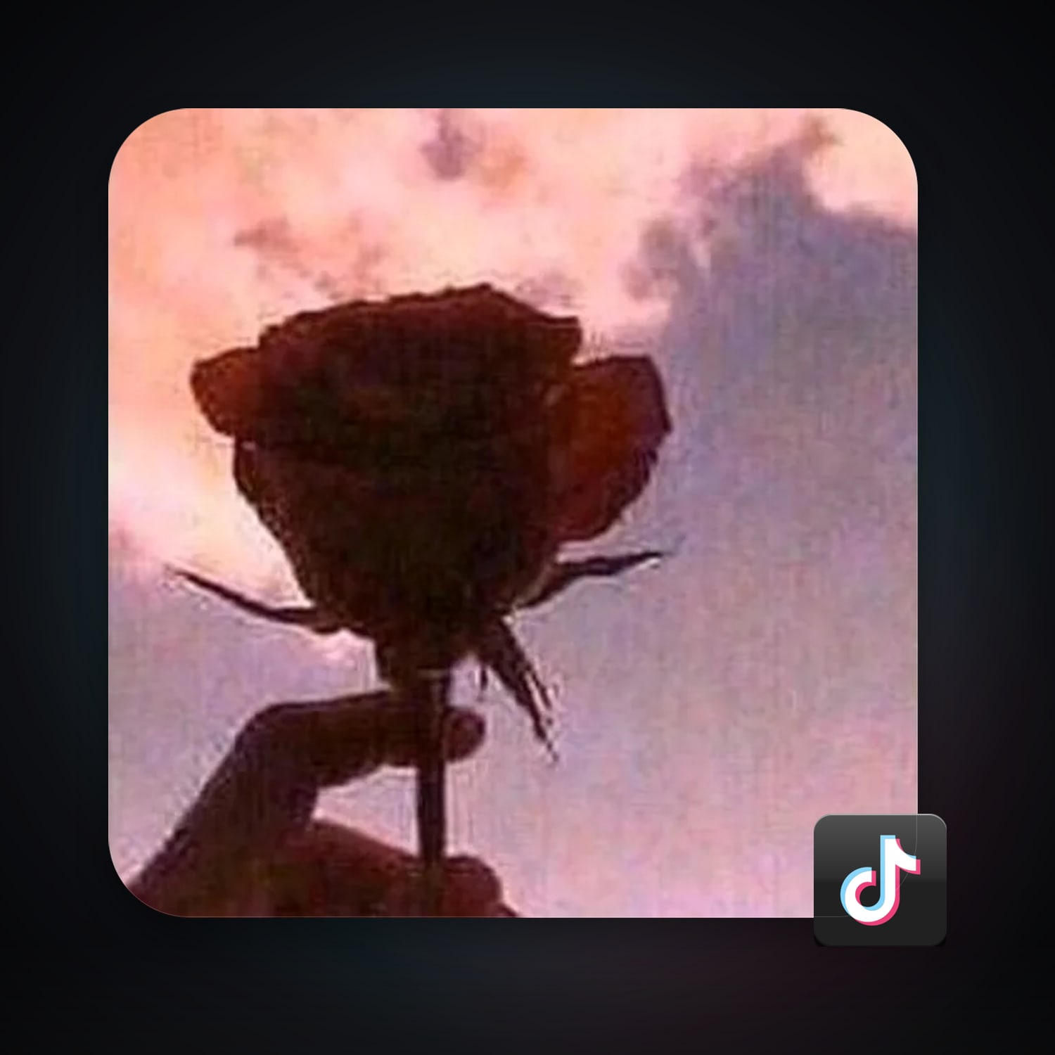 TikTok 38 followers — HabibiAccounts