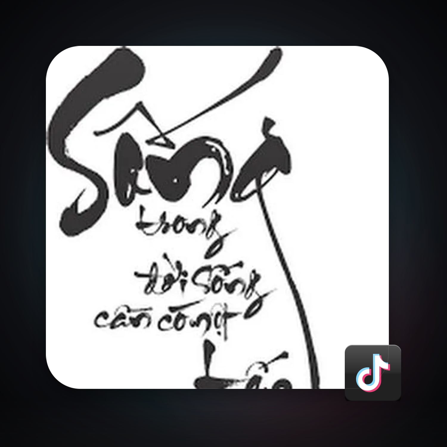 TikTok — HabibiAccounts