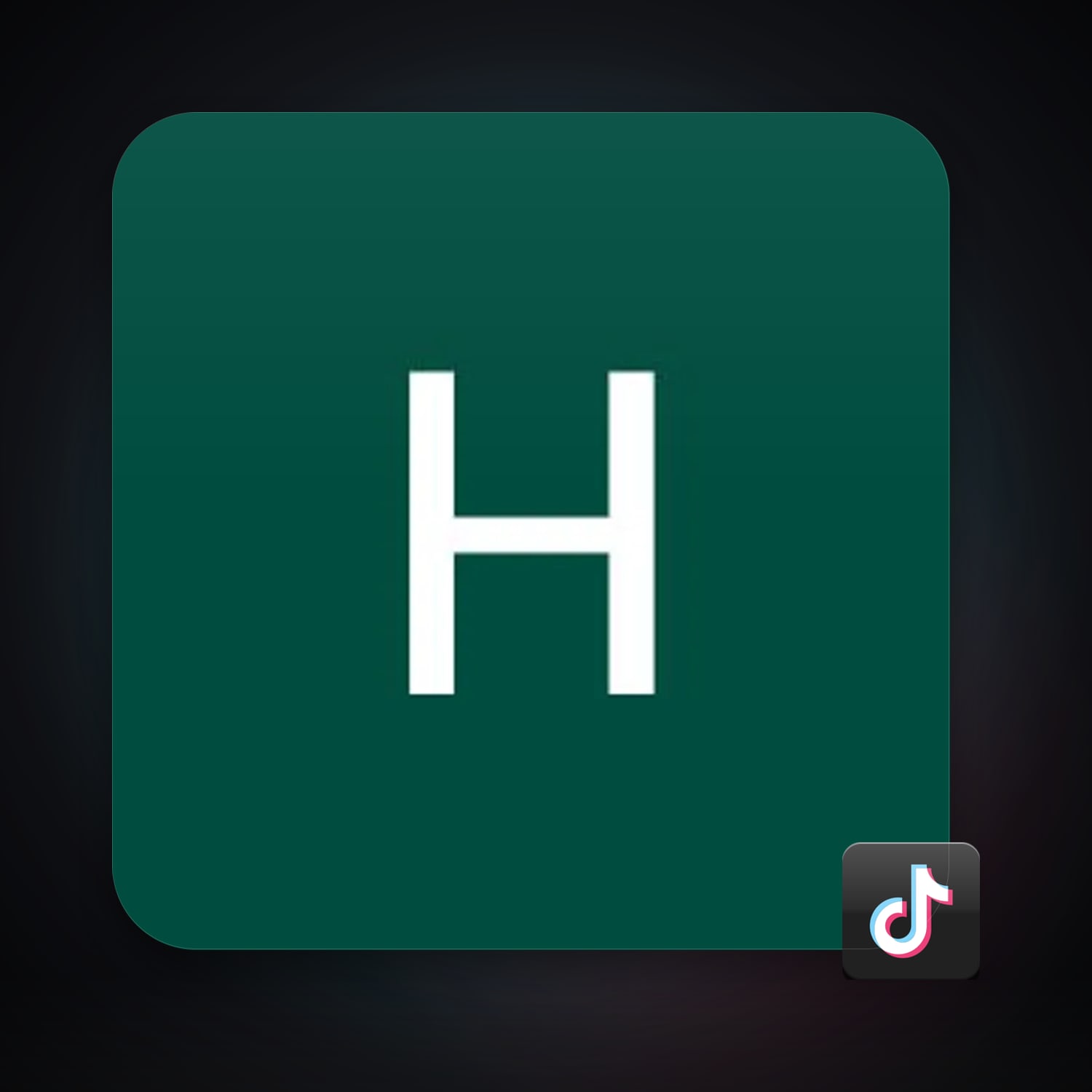 TikTok — HabibiAccounts