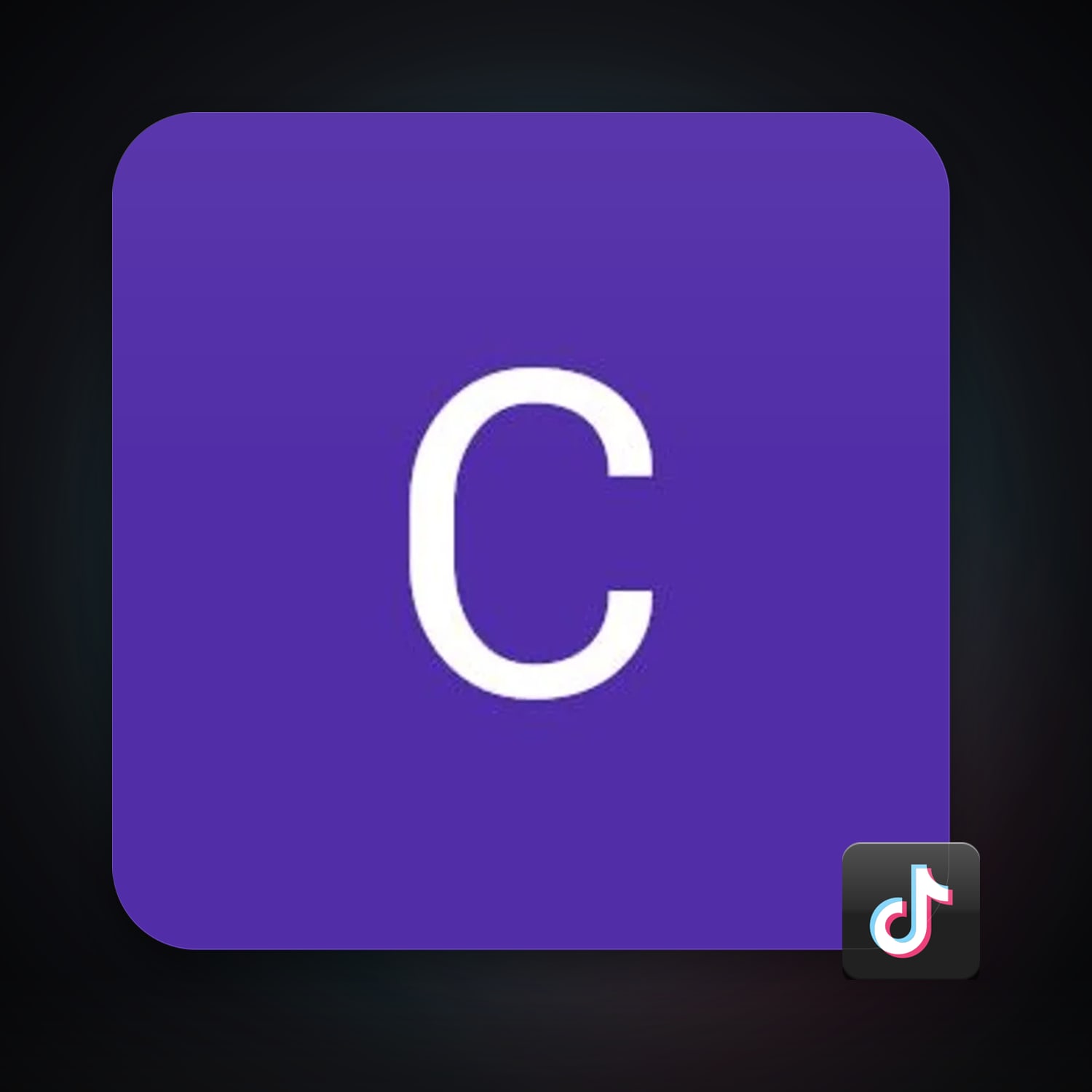 TikTok — HabibiAccounts