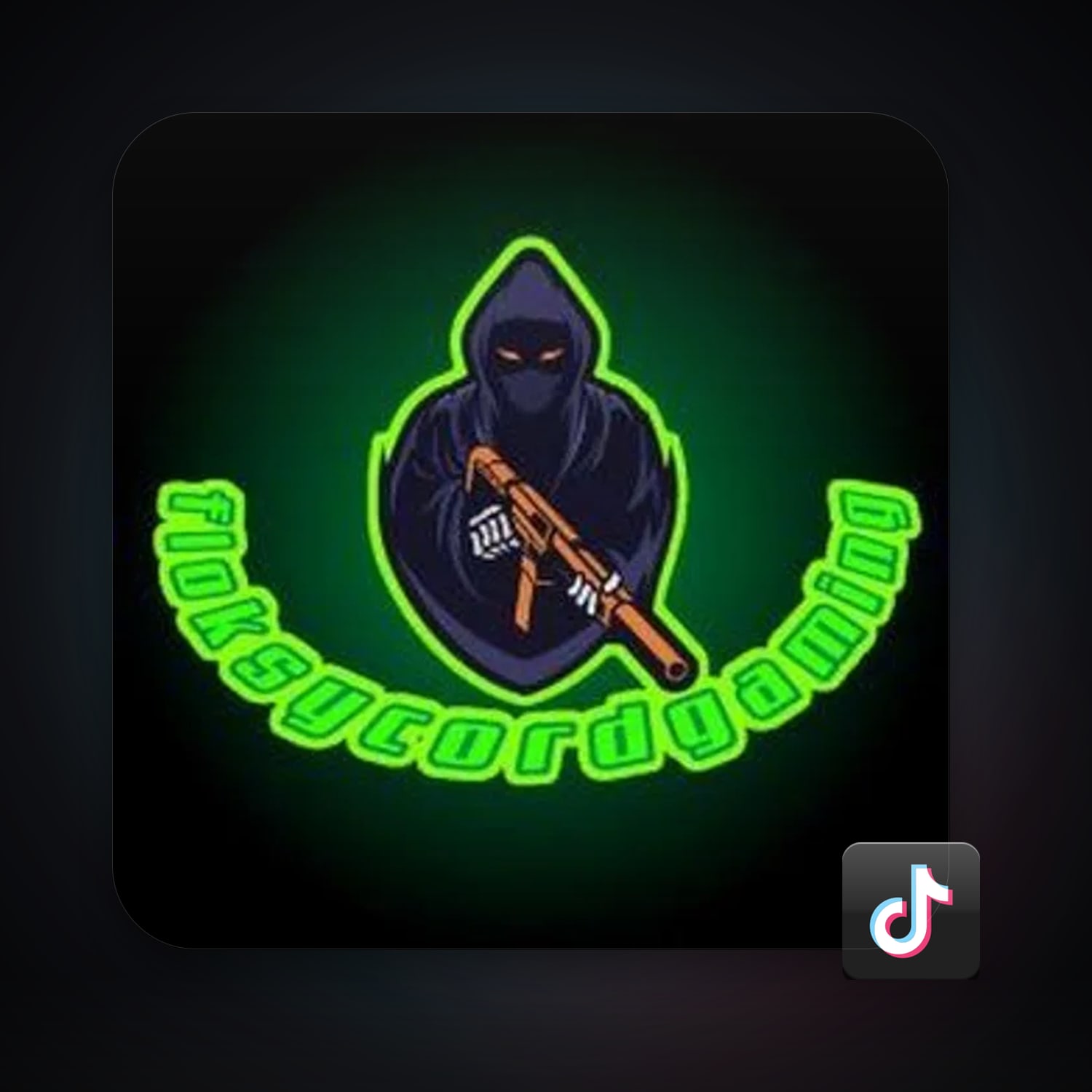 TikTok — HabibiAccounts