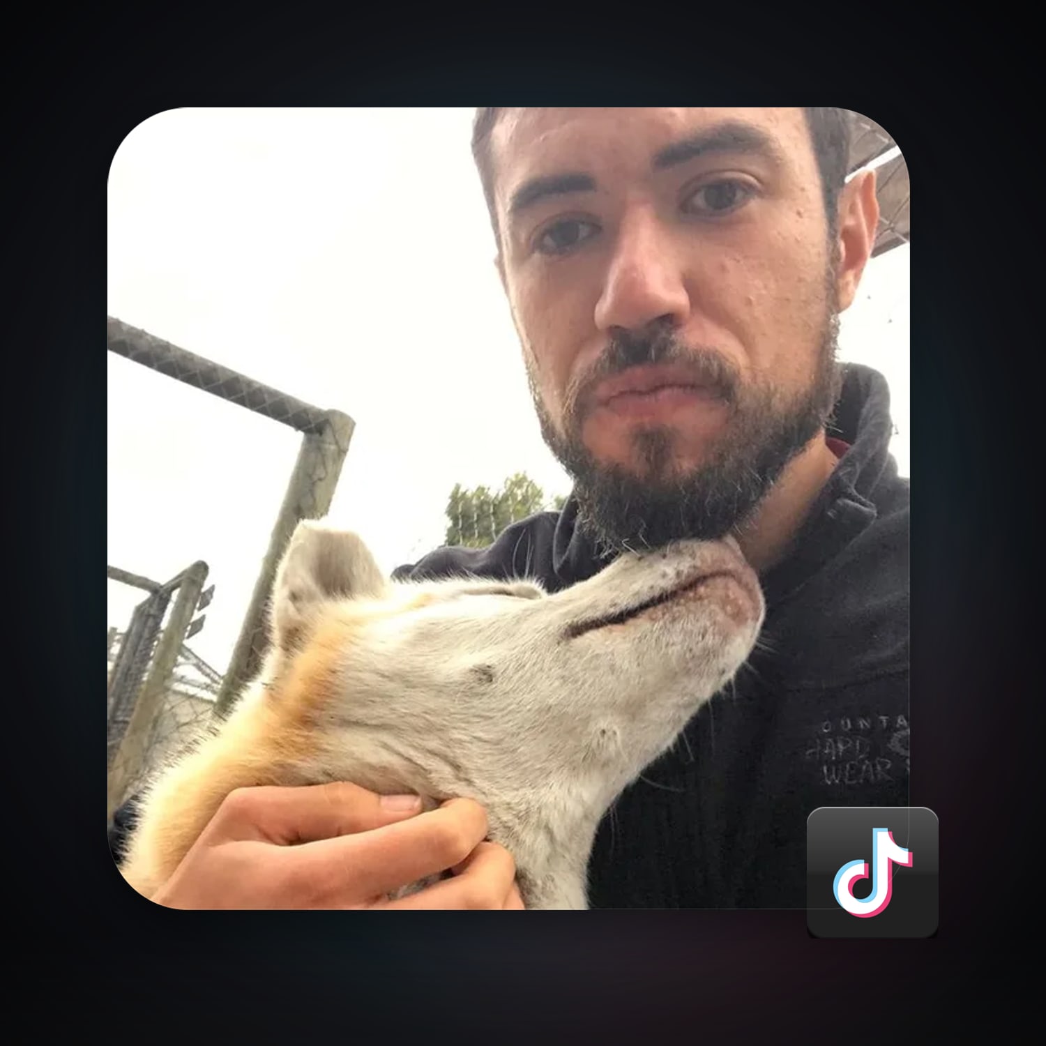 TikTok 234 followers — HabibiAccounts