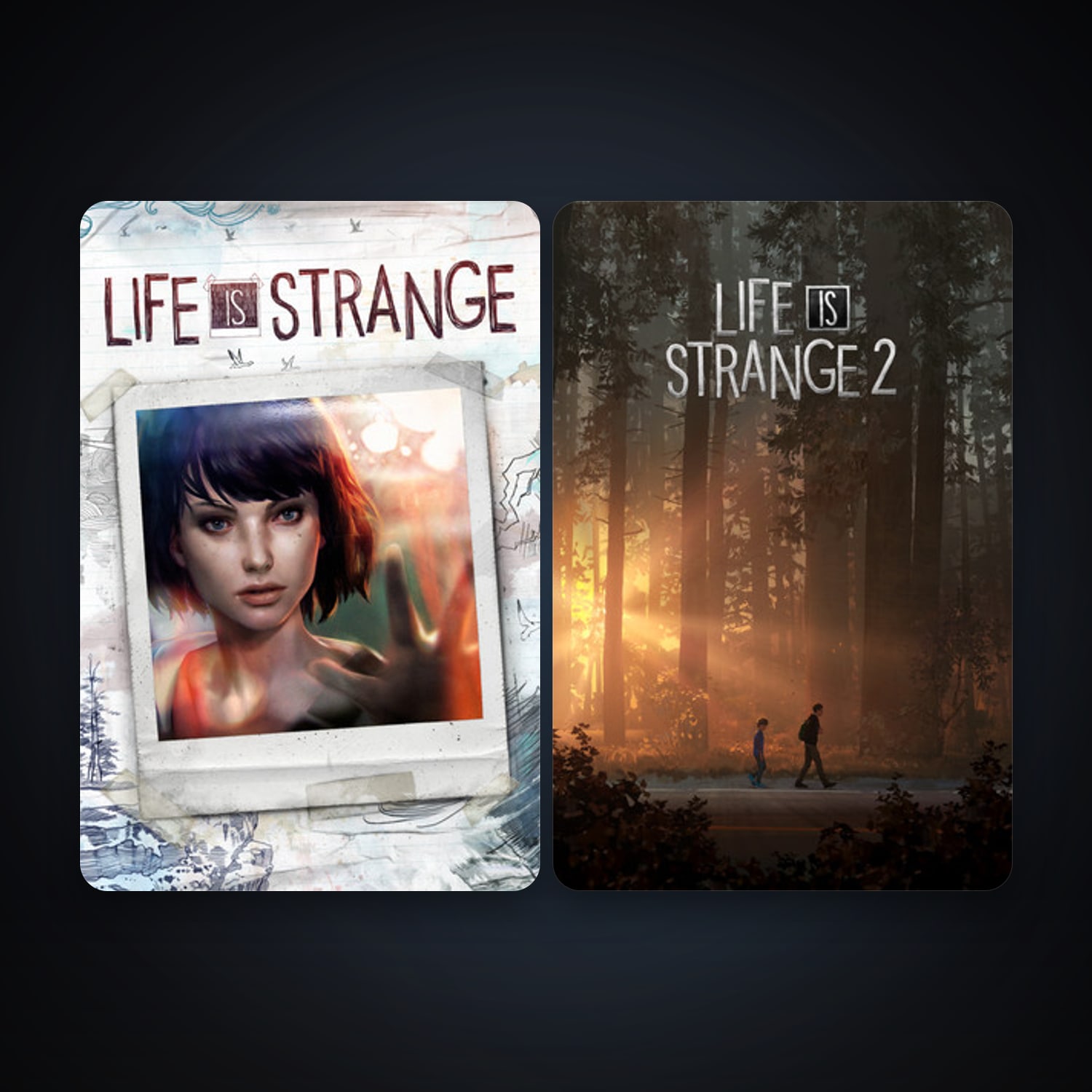 Life is Strange - Episode 1 + Life is Strange 2, 3 games, clean — HabibiAccounts