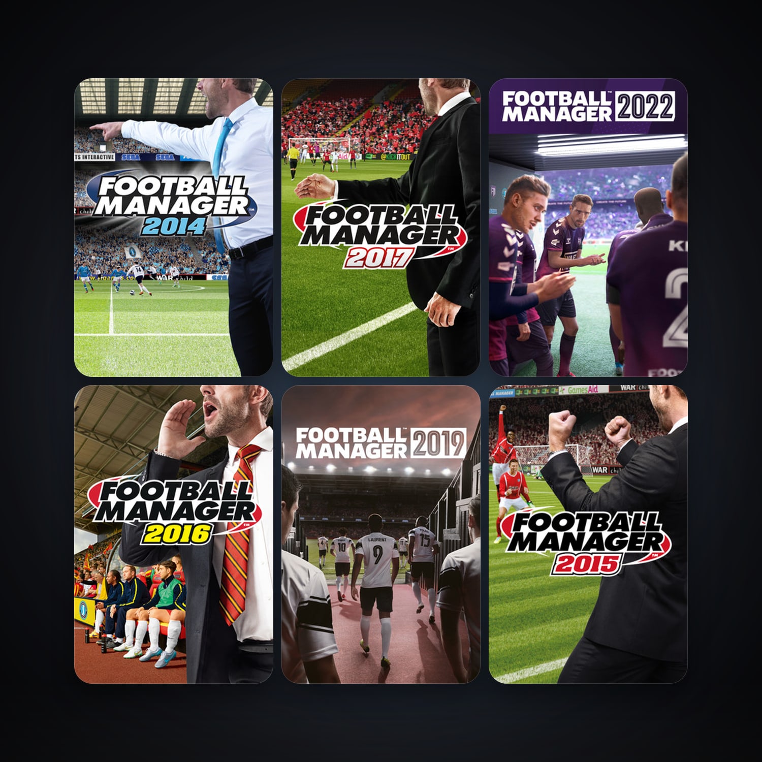 Football Manager 2014 + Football Manager 2015, 32 games, Steam 10, clean — HabibiAccounts