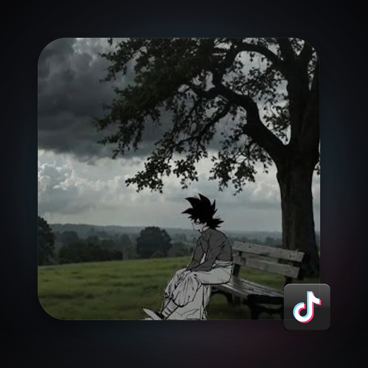 TikTok — HabibiAccounts