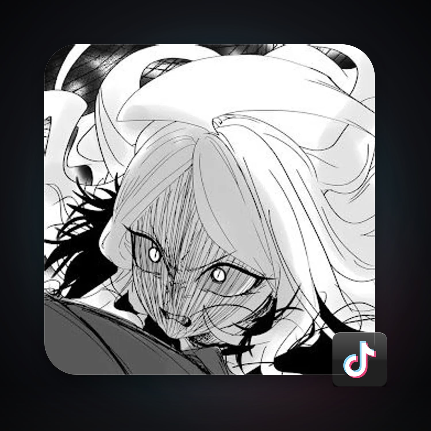 TikTok — HabibiAccounts