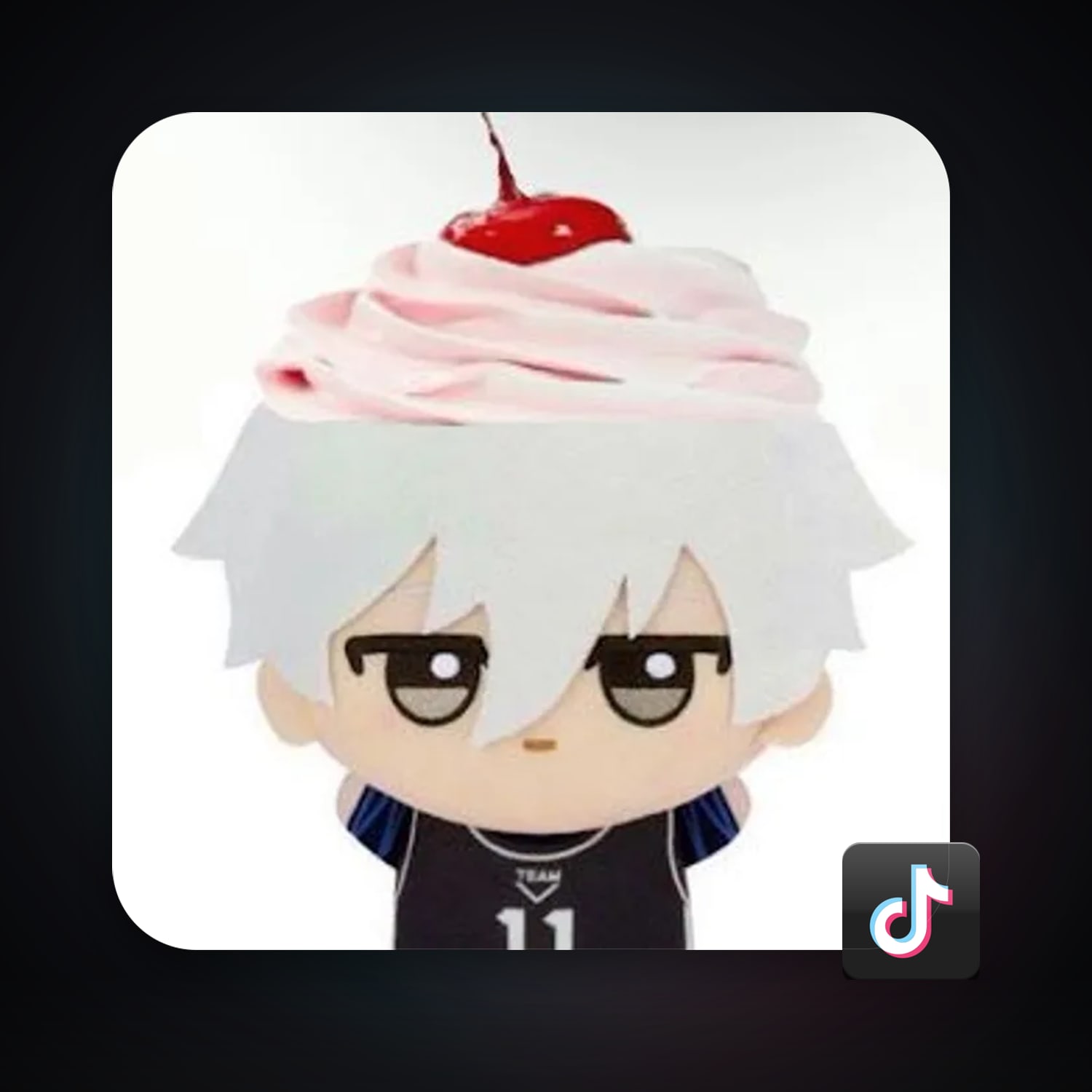 TikTok — HabibiAccounts