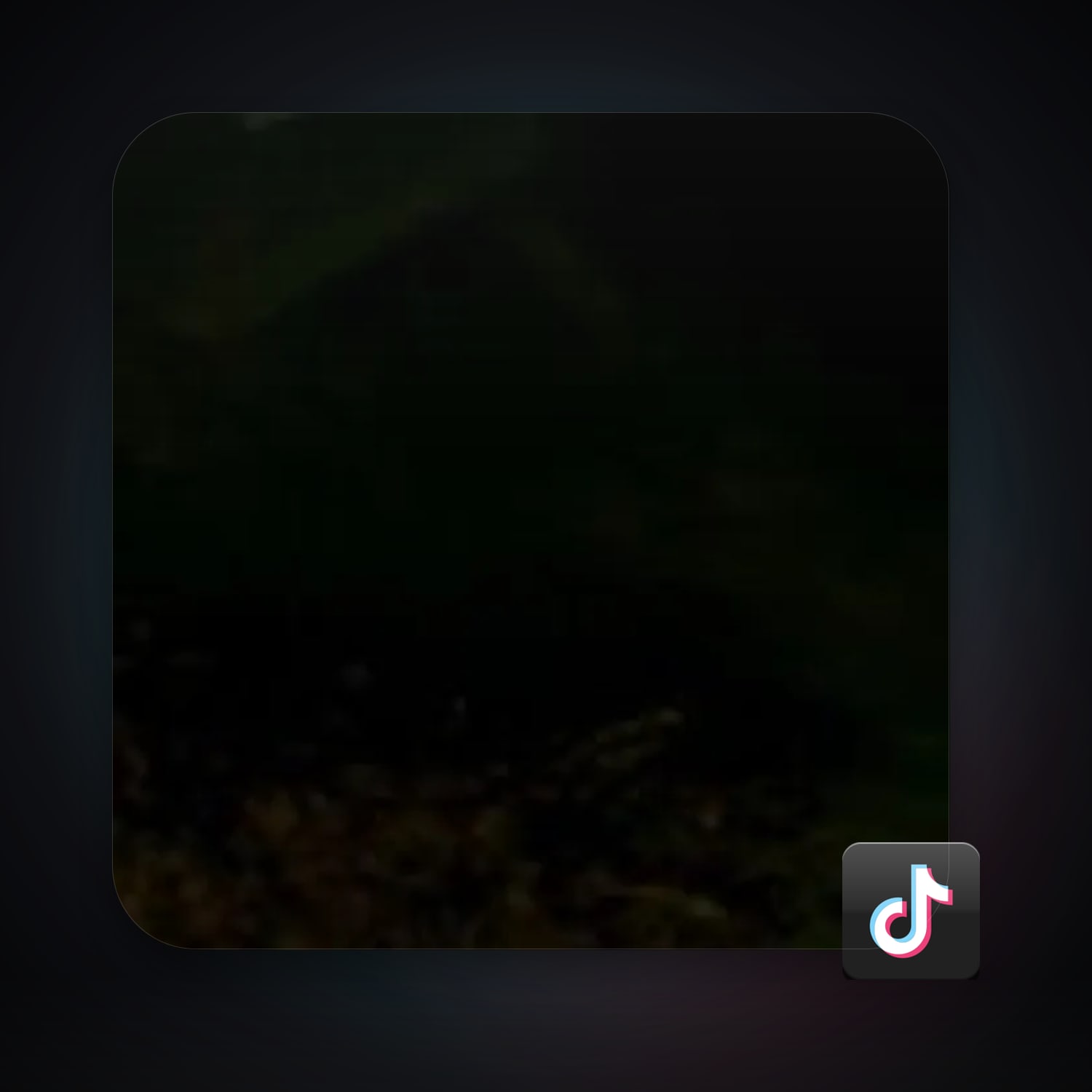 TikTok — HabibiAccounts