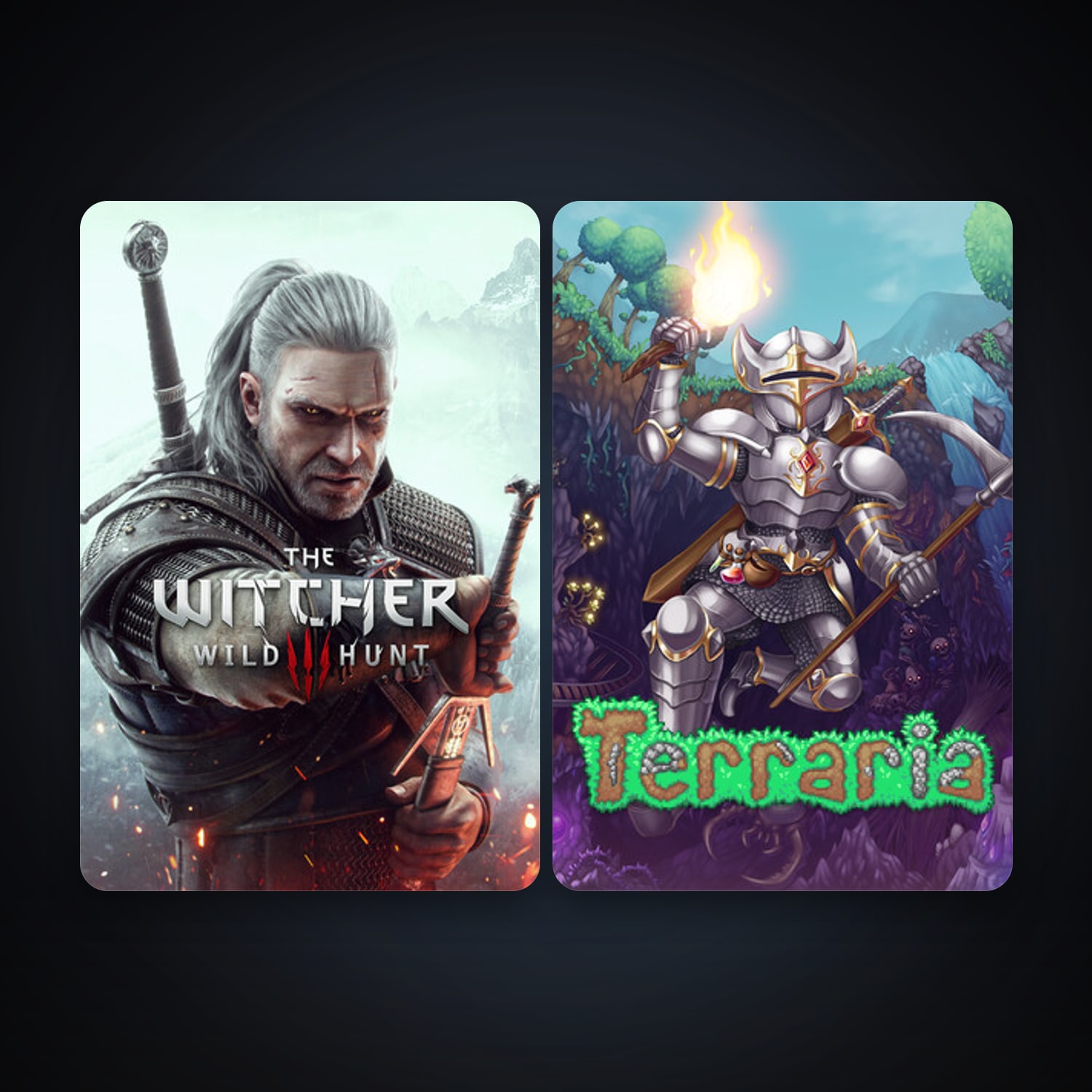Terraria + The Witcher 3: Wild Hunt, 4 games, clean — HabibiAccounts