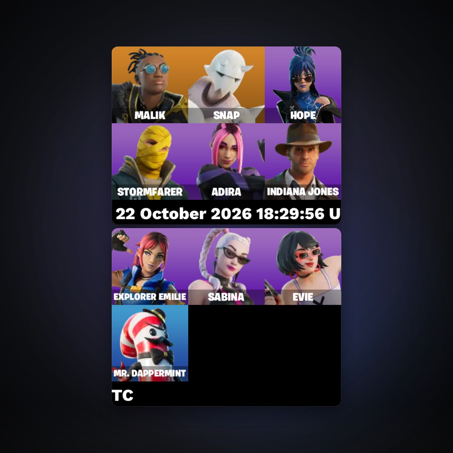 Fortnite account with Malik & Snap — 10 skins — 300 V-Bucks — lvl 356 — HabibiAccounts