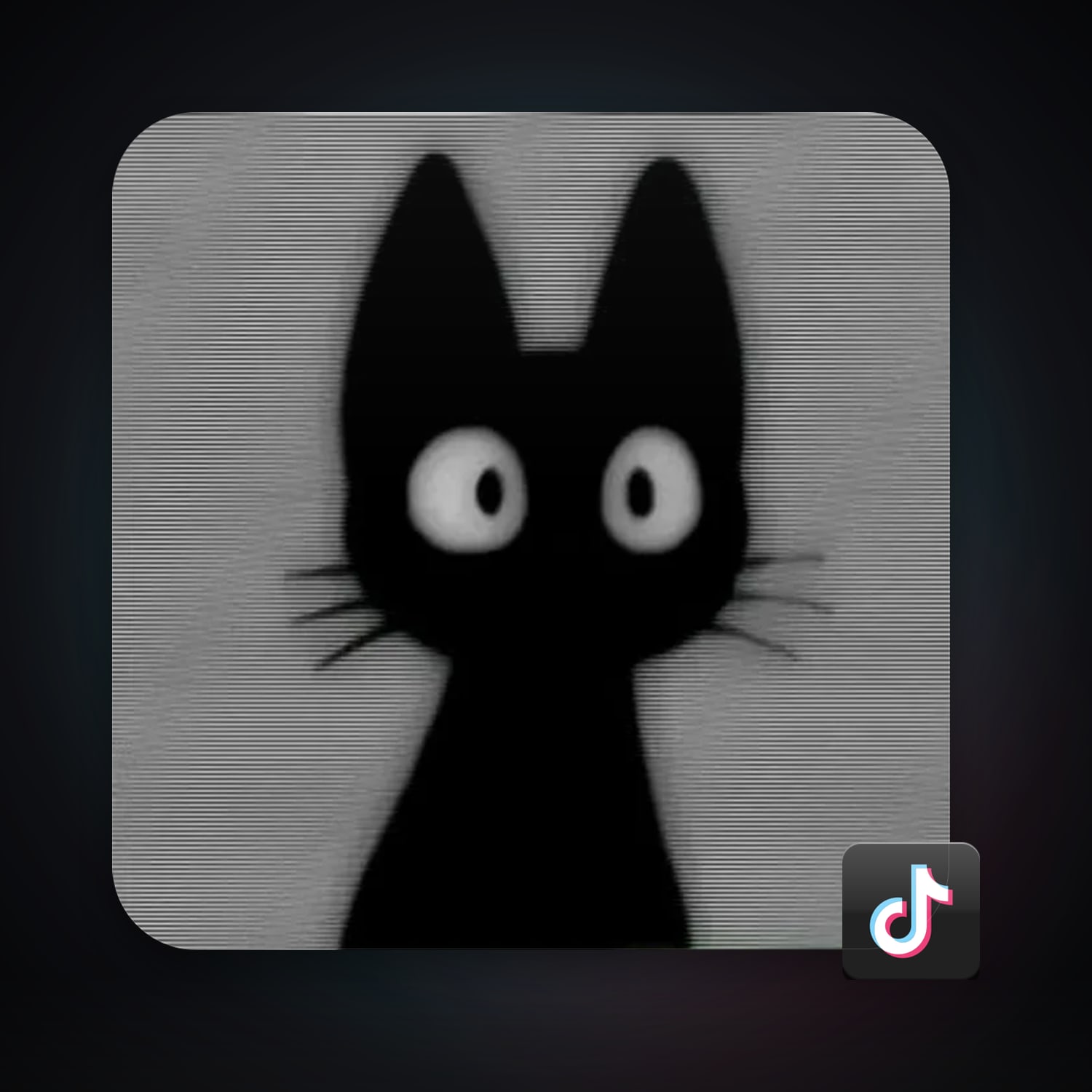 TikTok 36 followers — HabibiAccounts