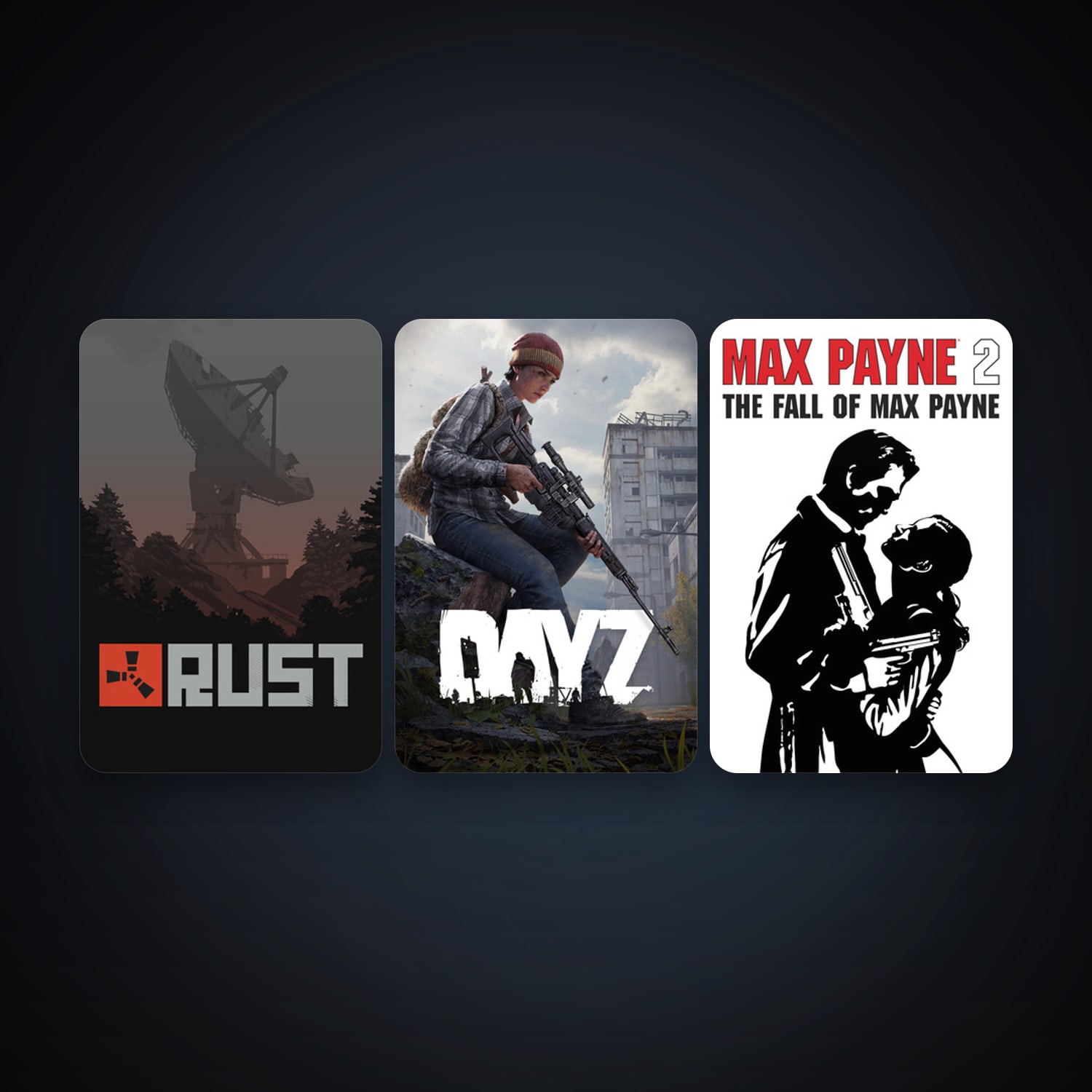 Max Payne 2: The Fall of Max Payne + DayZ, 4 games, clean — HabibiAccounts
