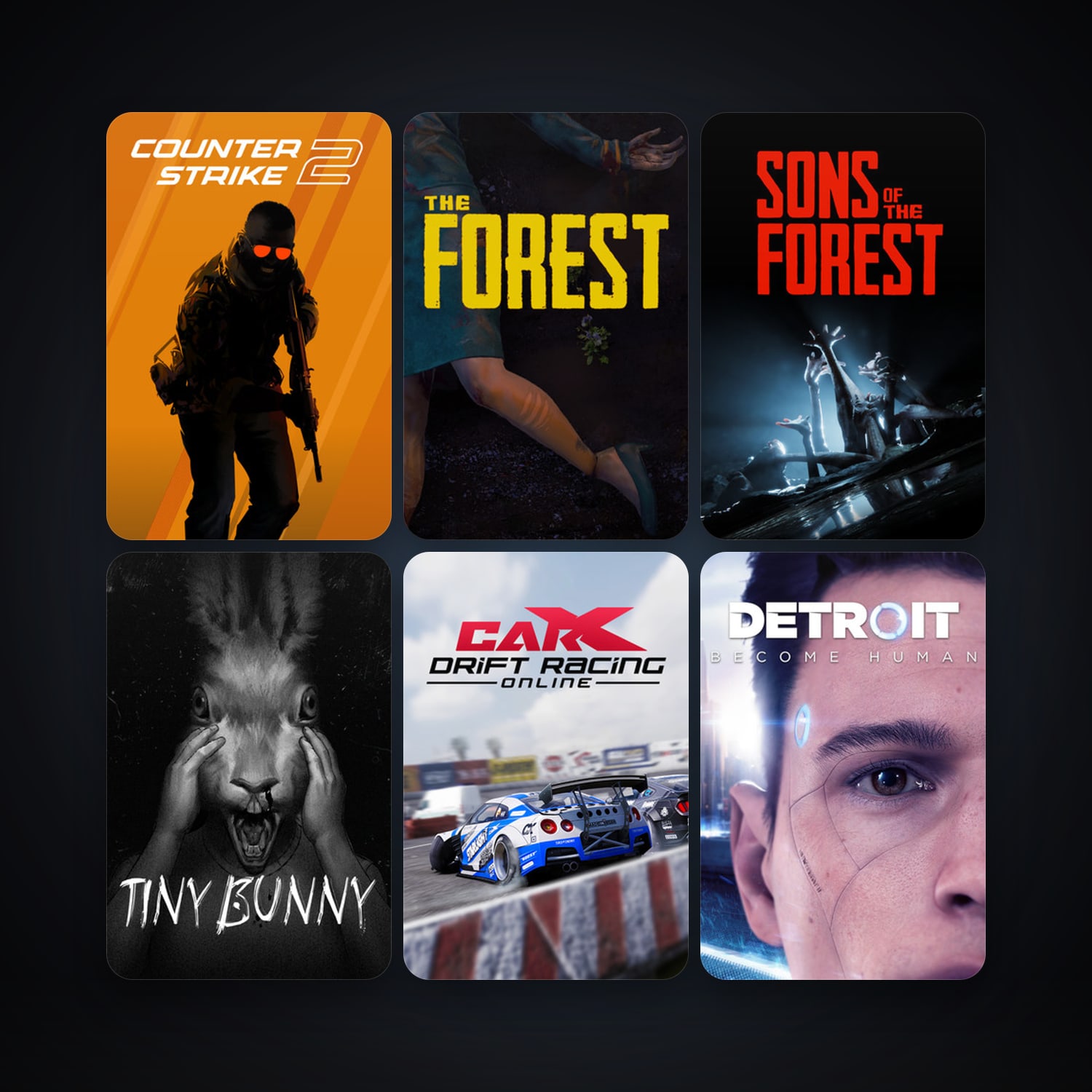 CS2 Prime + The Forest, 29 games, Steam 23, clean — HabibiAccounts