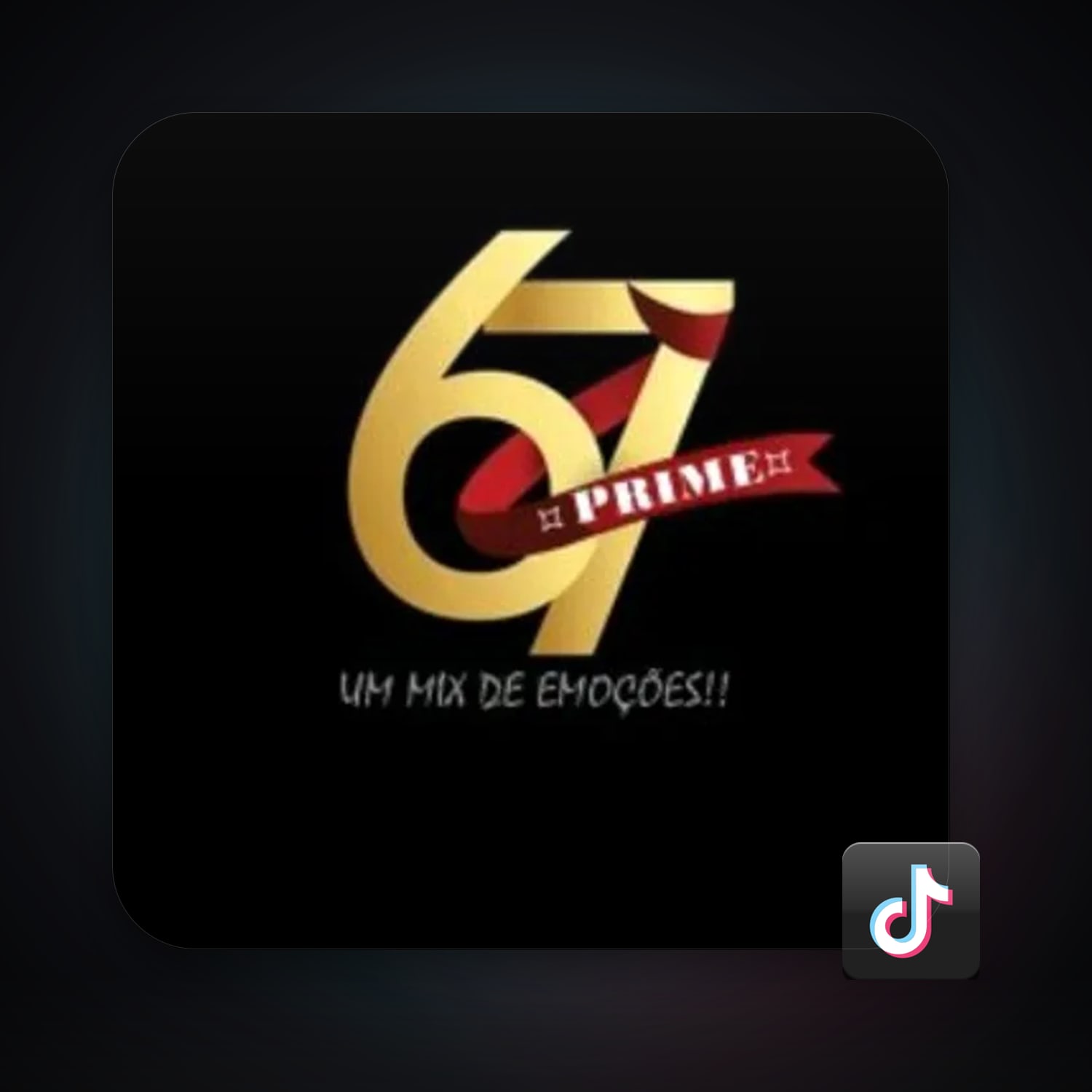 TikTok 757 followers — HabibiAccounts