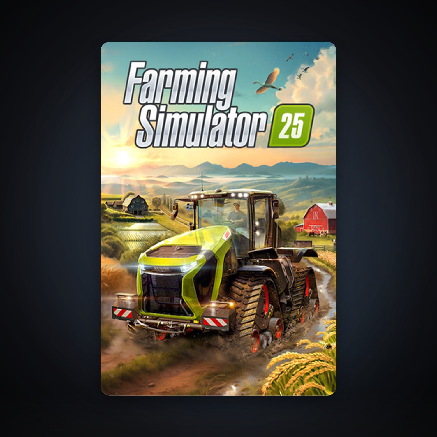 Farming Simulator 25, 2 games, clean — HabibiAccounts