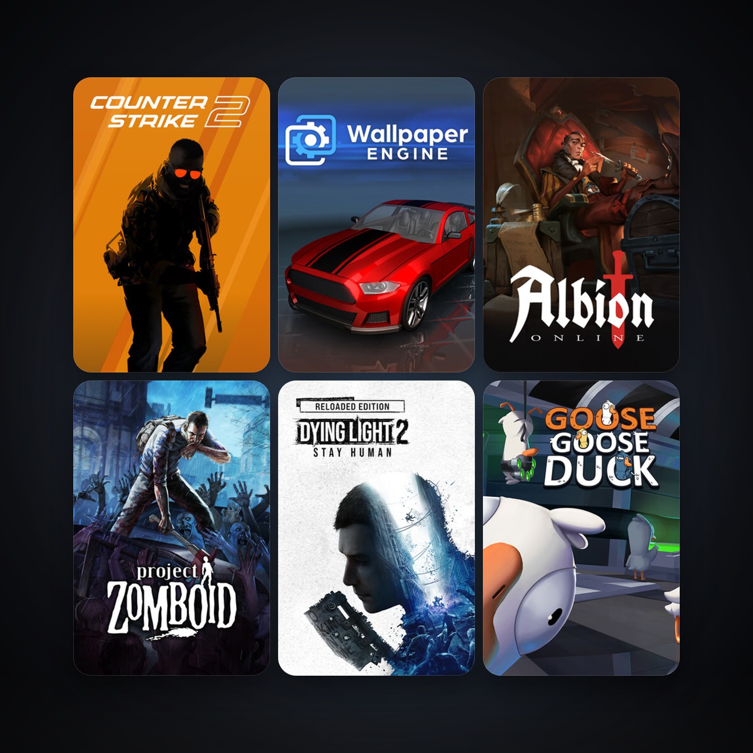 CS2 Prime + Project Zomboid, 97 games, clean — HabibiAccounts