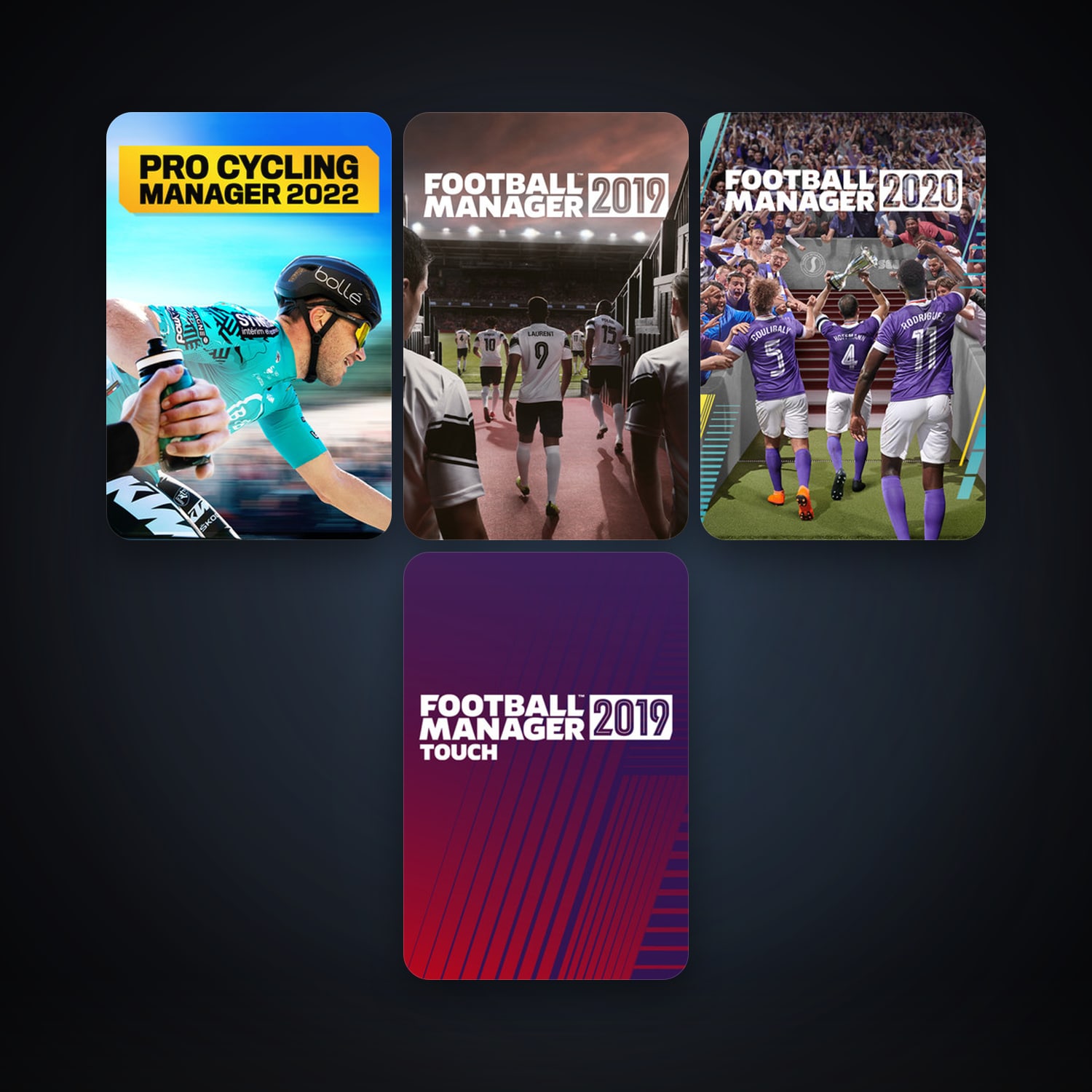 Football Manager 2019 + Football Manager 2019 Touch, 10 games, clean — HabibiAccounts