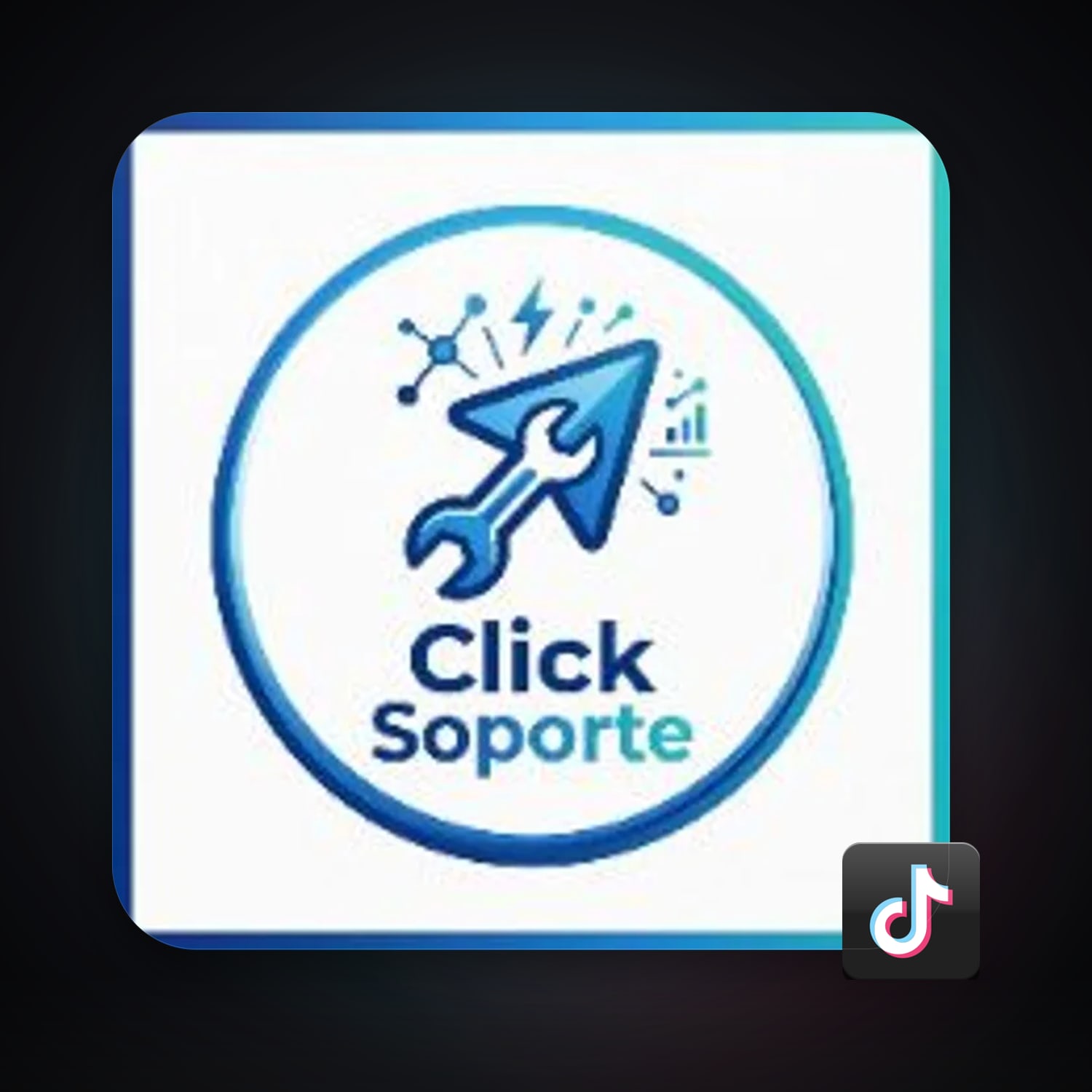 TikTok — HabibiAccounts