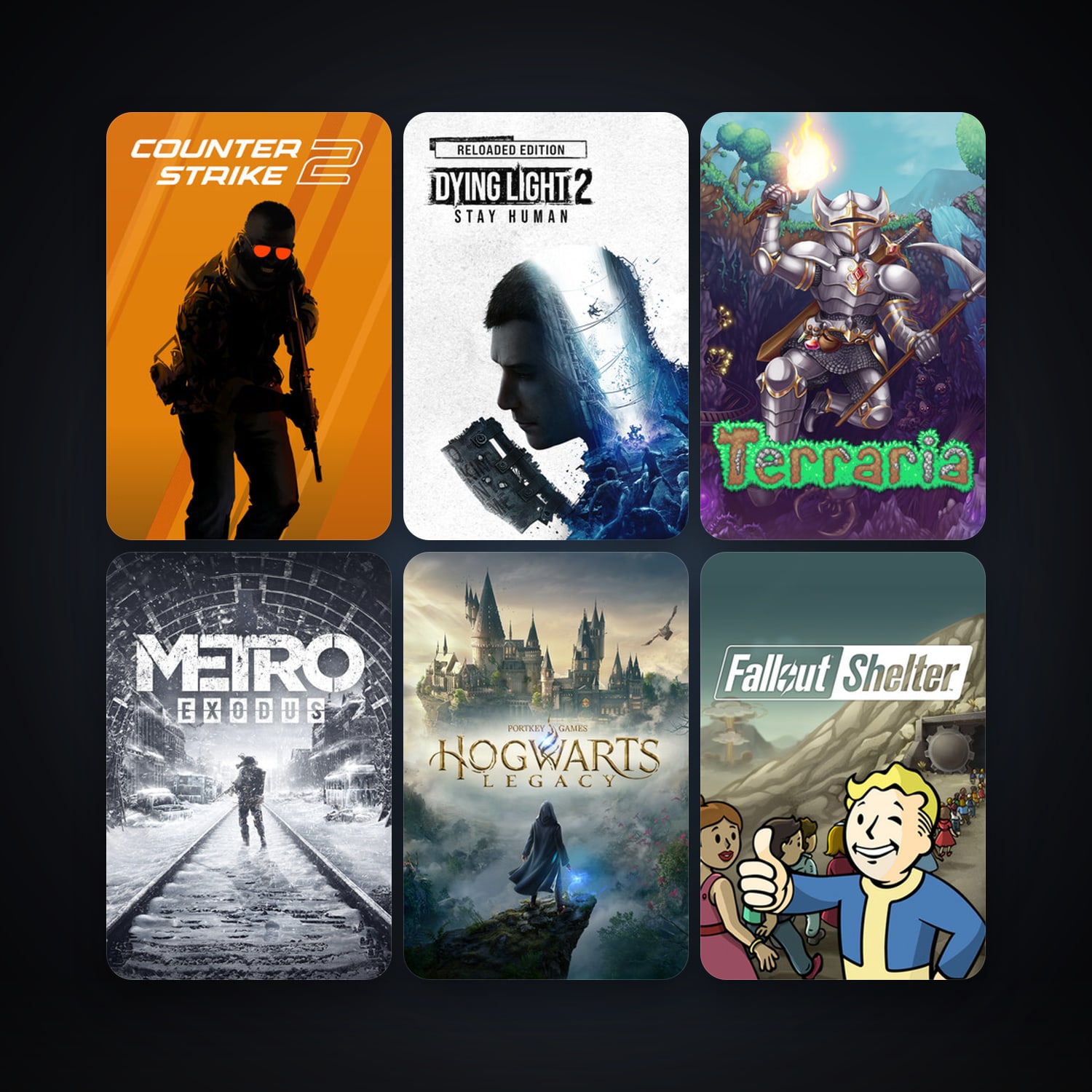 CS2 Prime + Terraria, 47 games, Steam 22, clean — HabibiAccounts